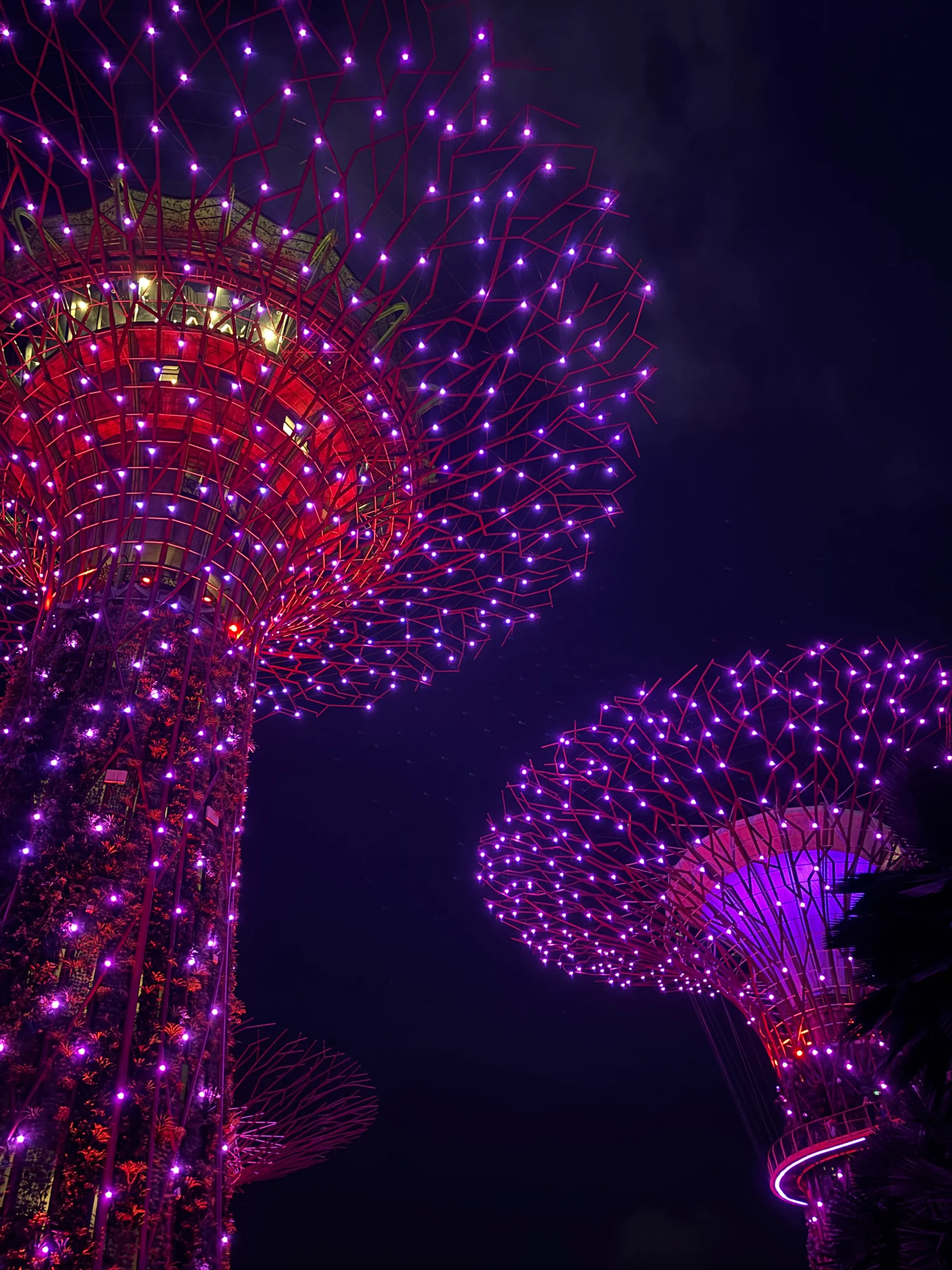 Gardens by the bay