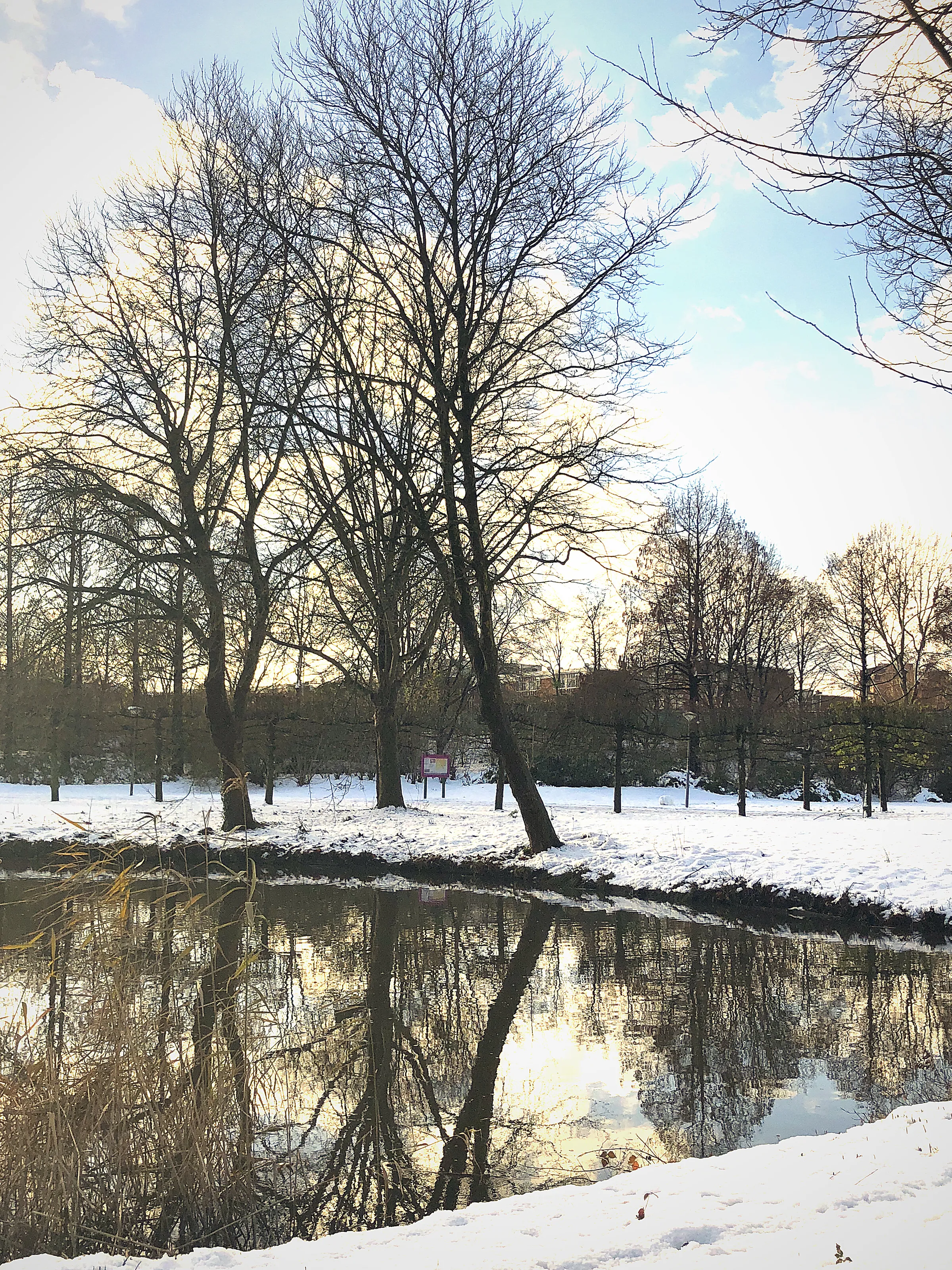 Winter in Amsterdam park