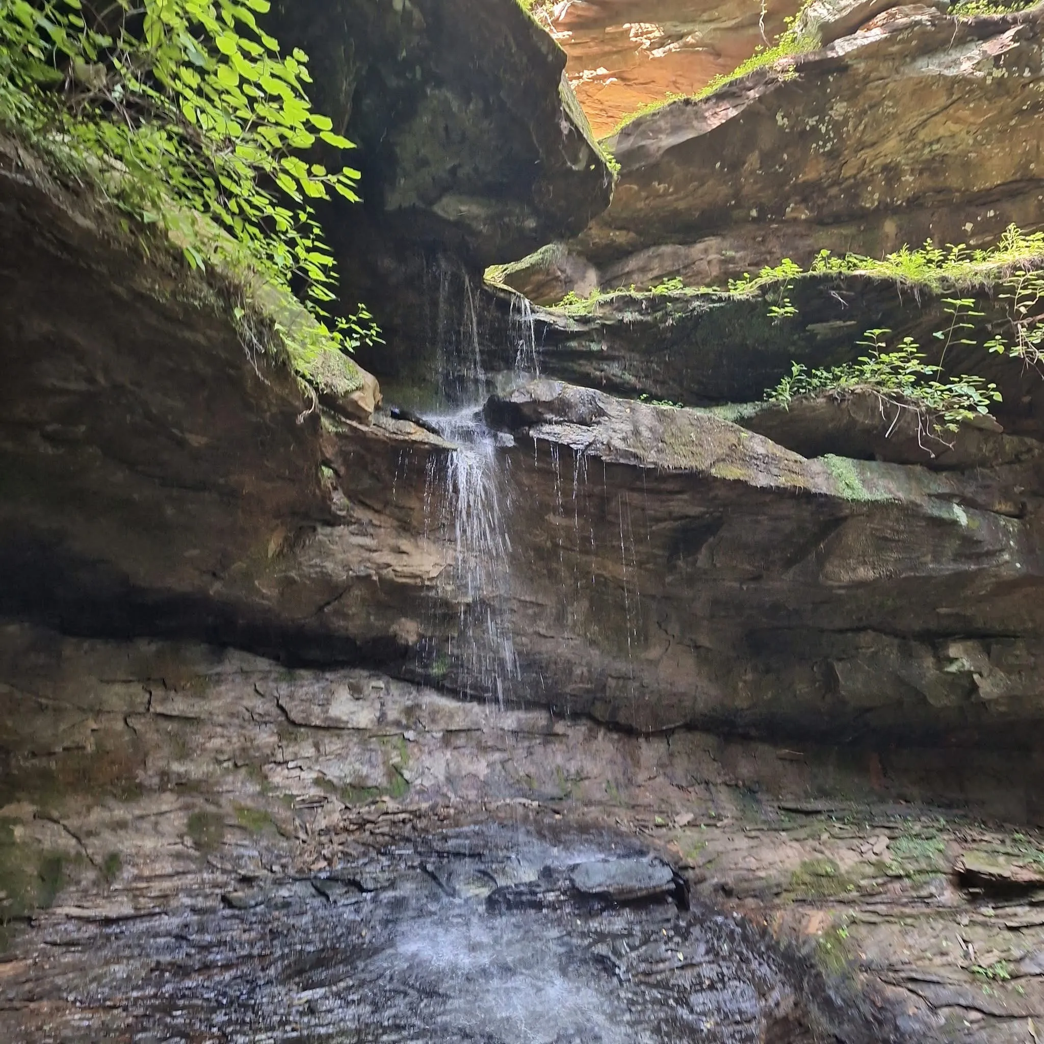 Nature’s Beauty