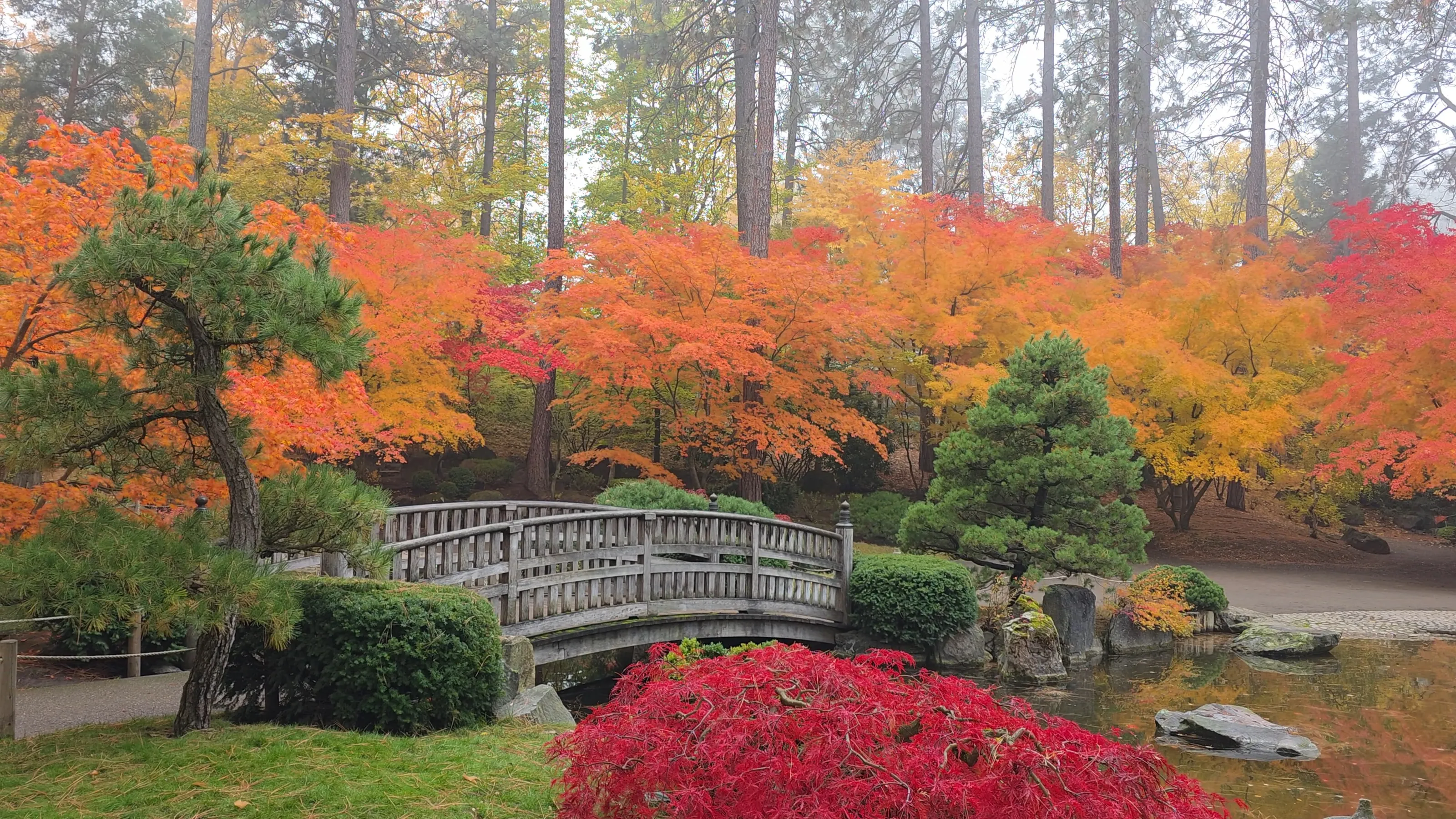 Japanese Garden