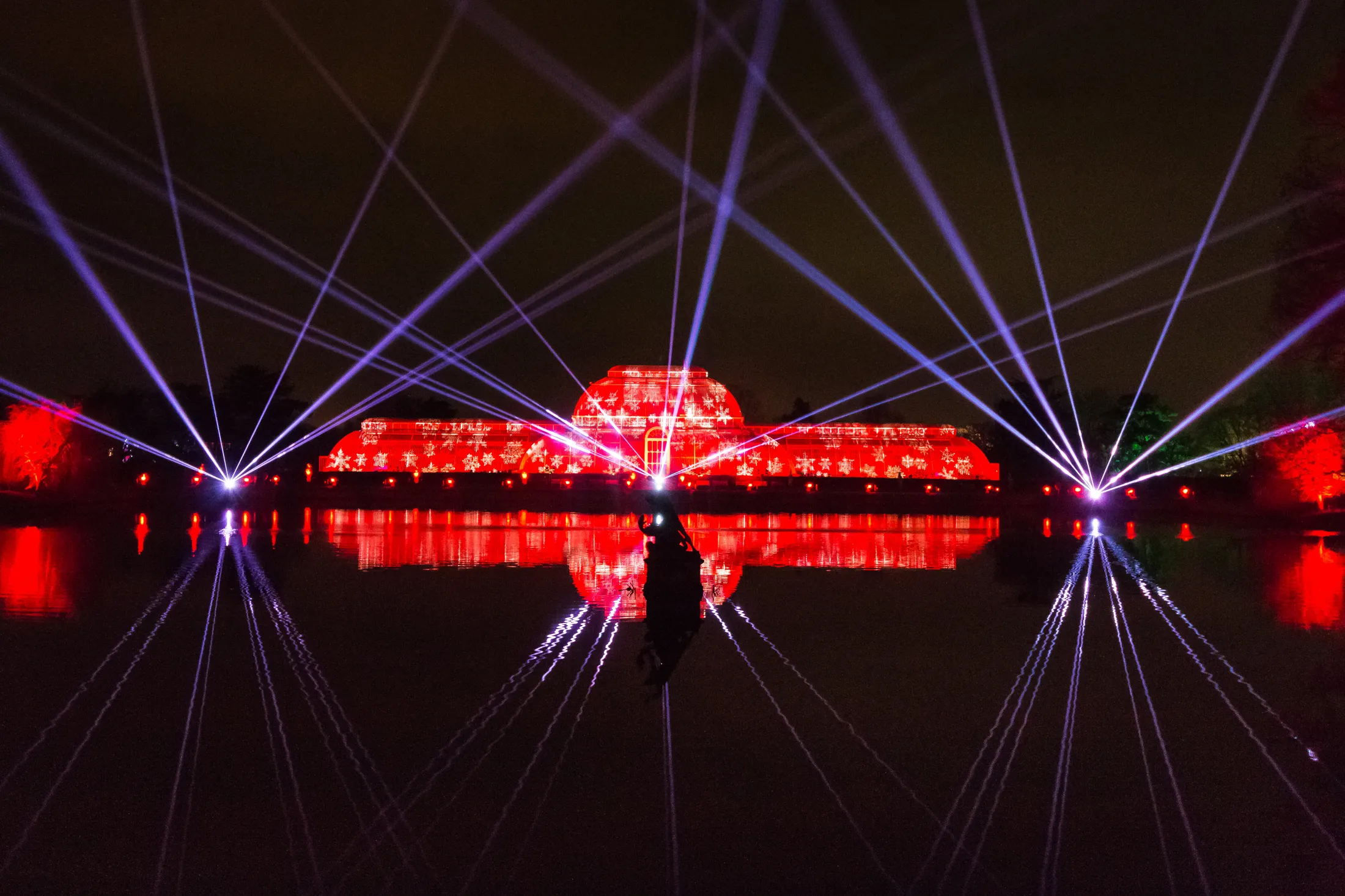 Christmas at Kew