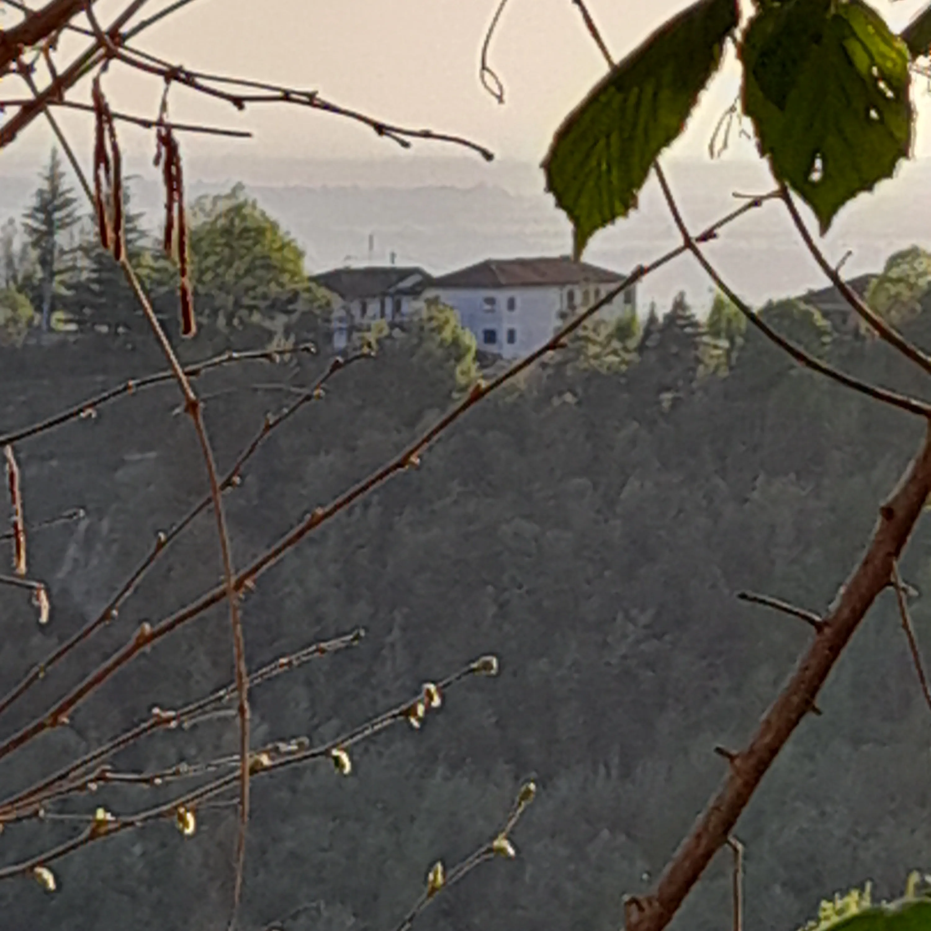 Paesaggio