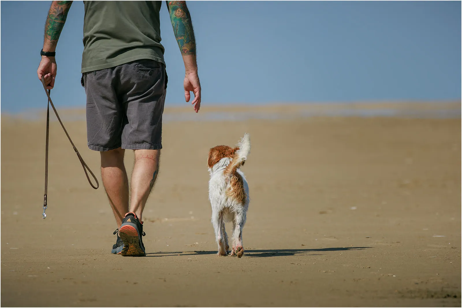 BEACH WALKIES