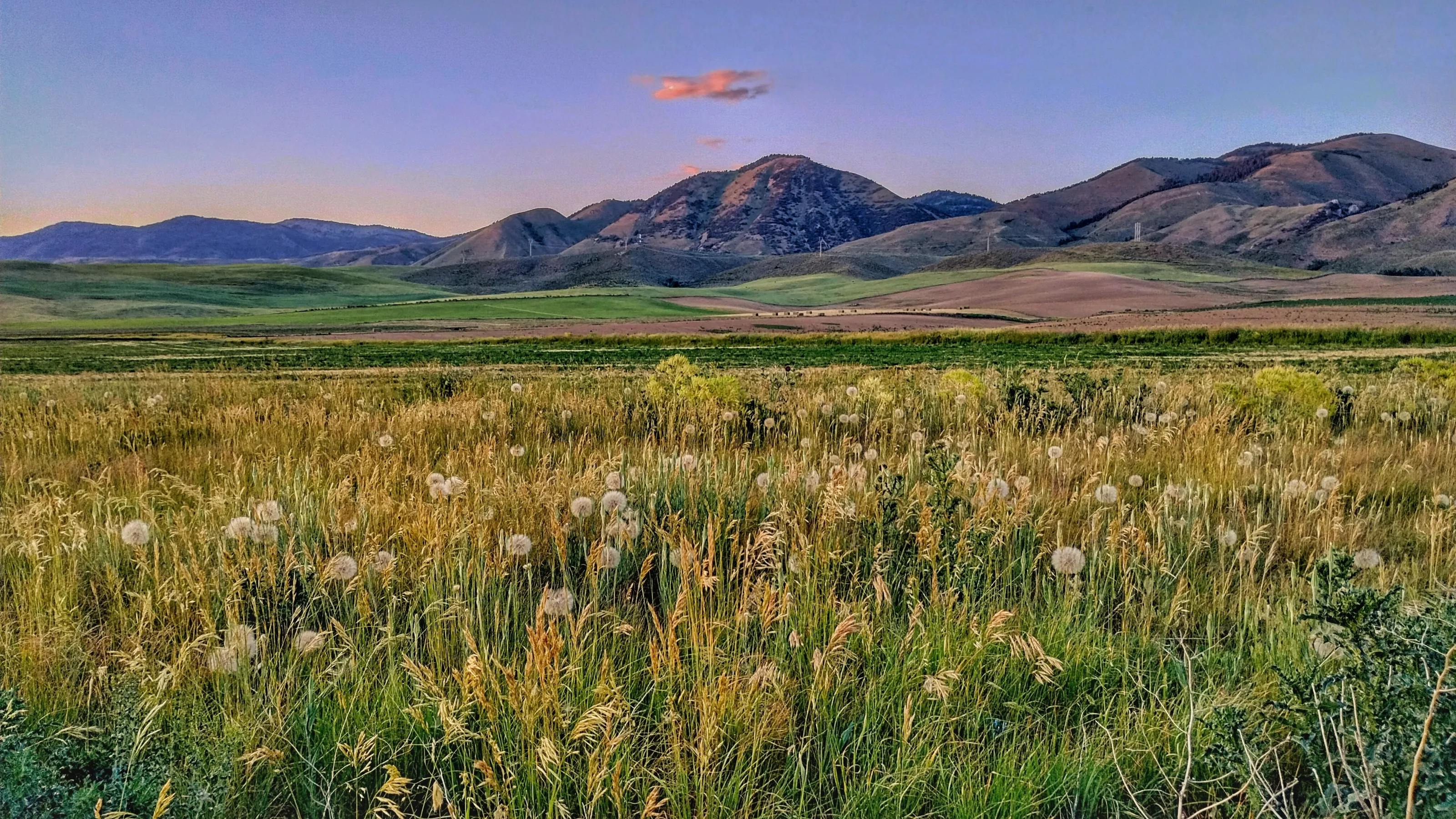 Beauty in the hills