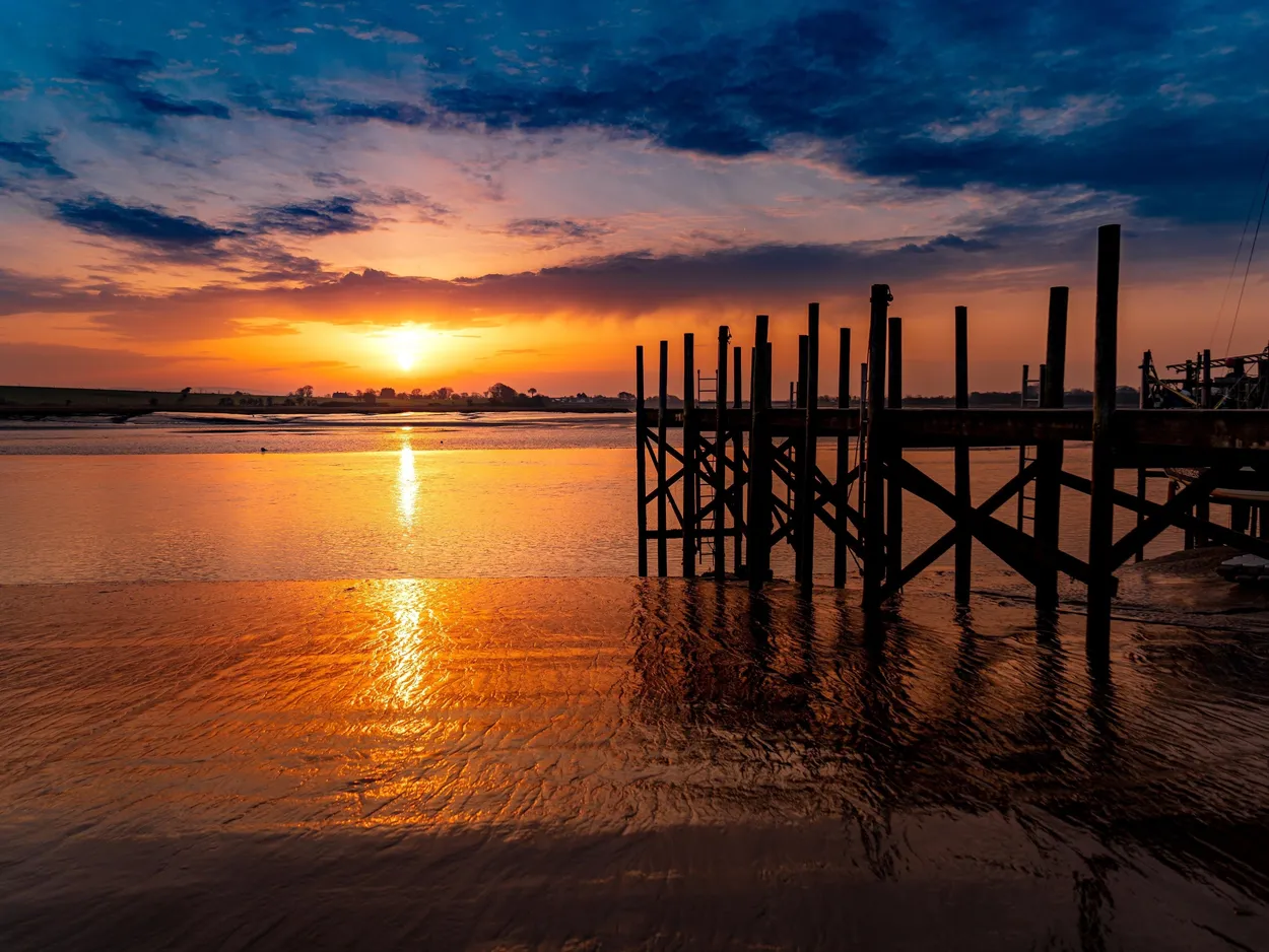 Entry 27046012