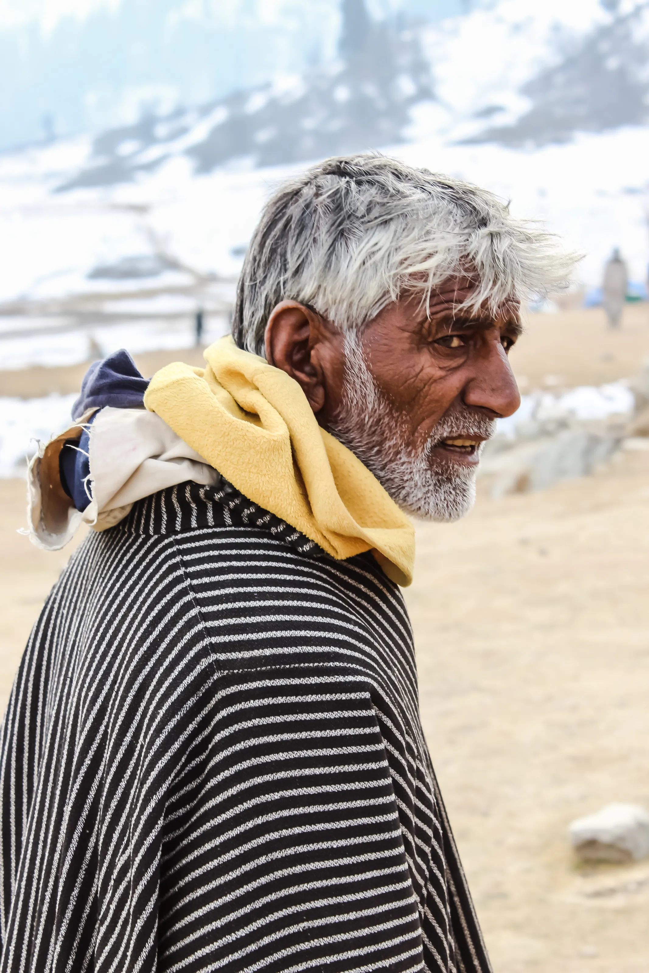 A Kashmiri Shepherd