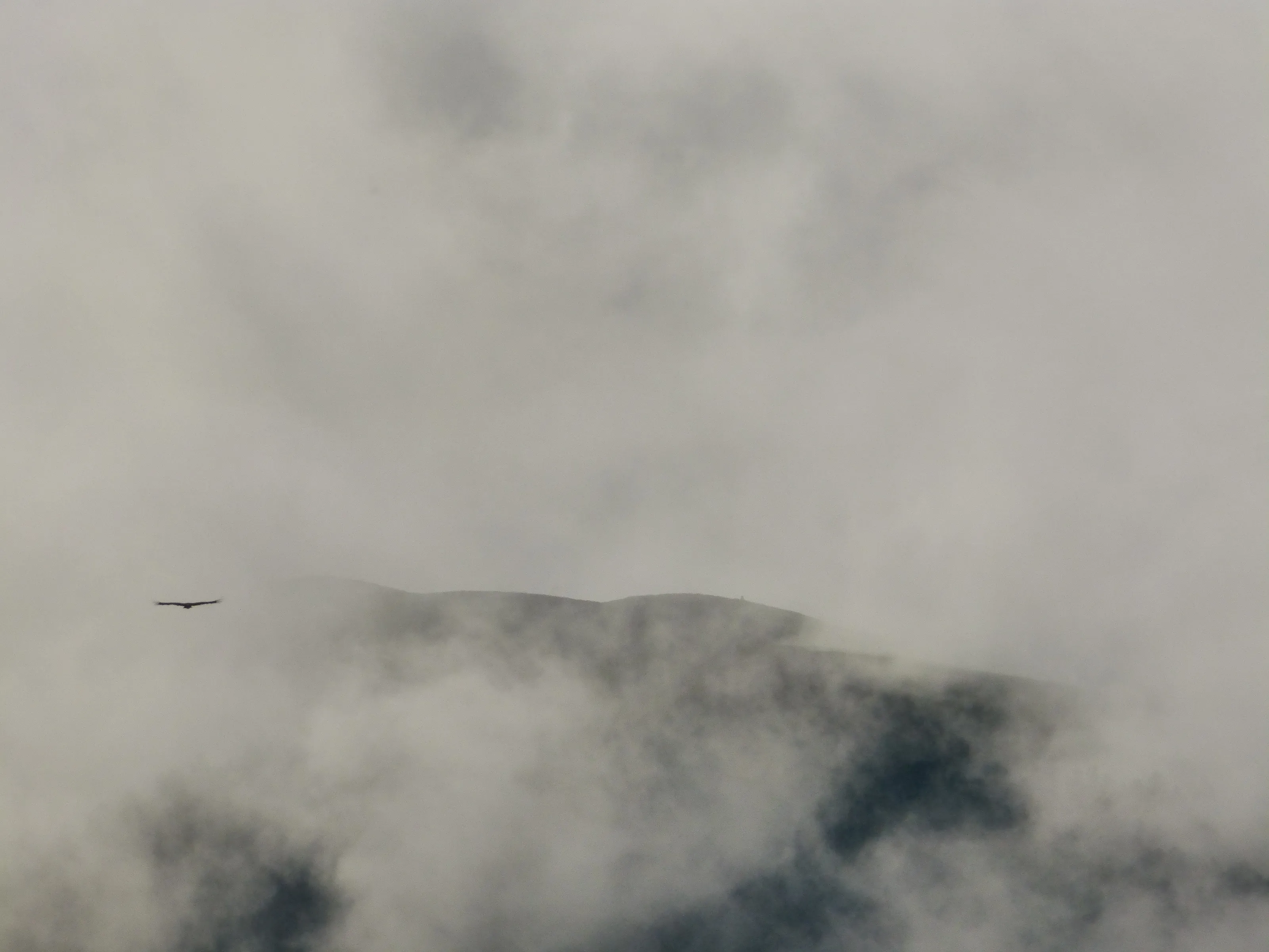 Au dessus de la brume