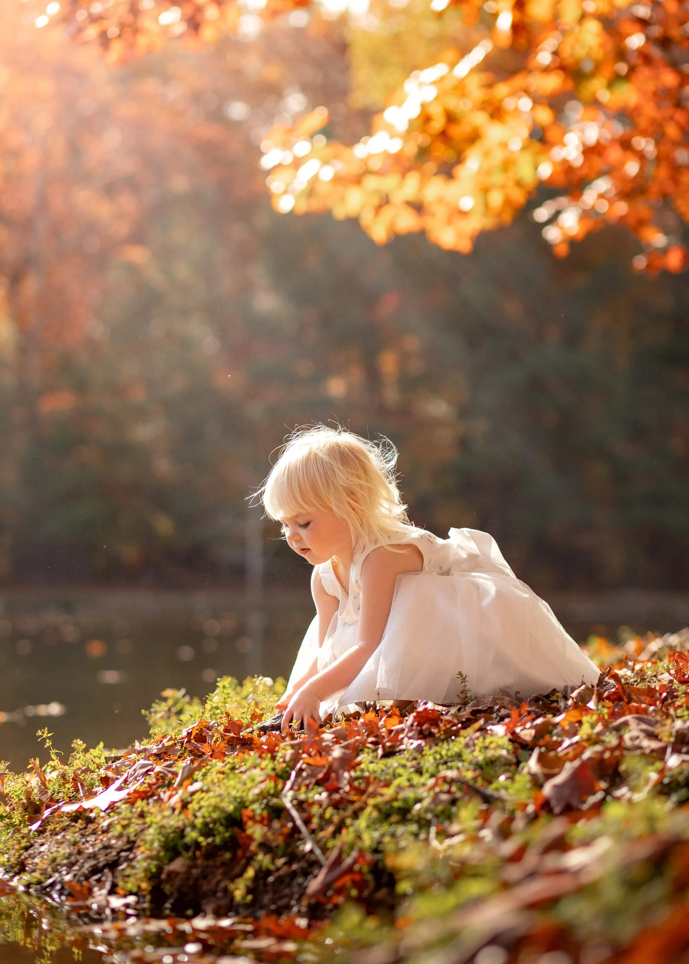 Whispers of Autumn