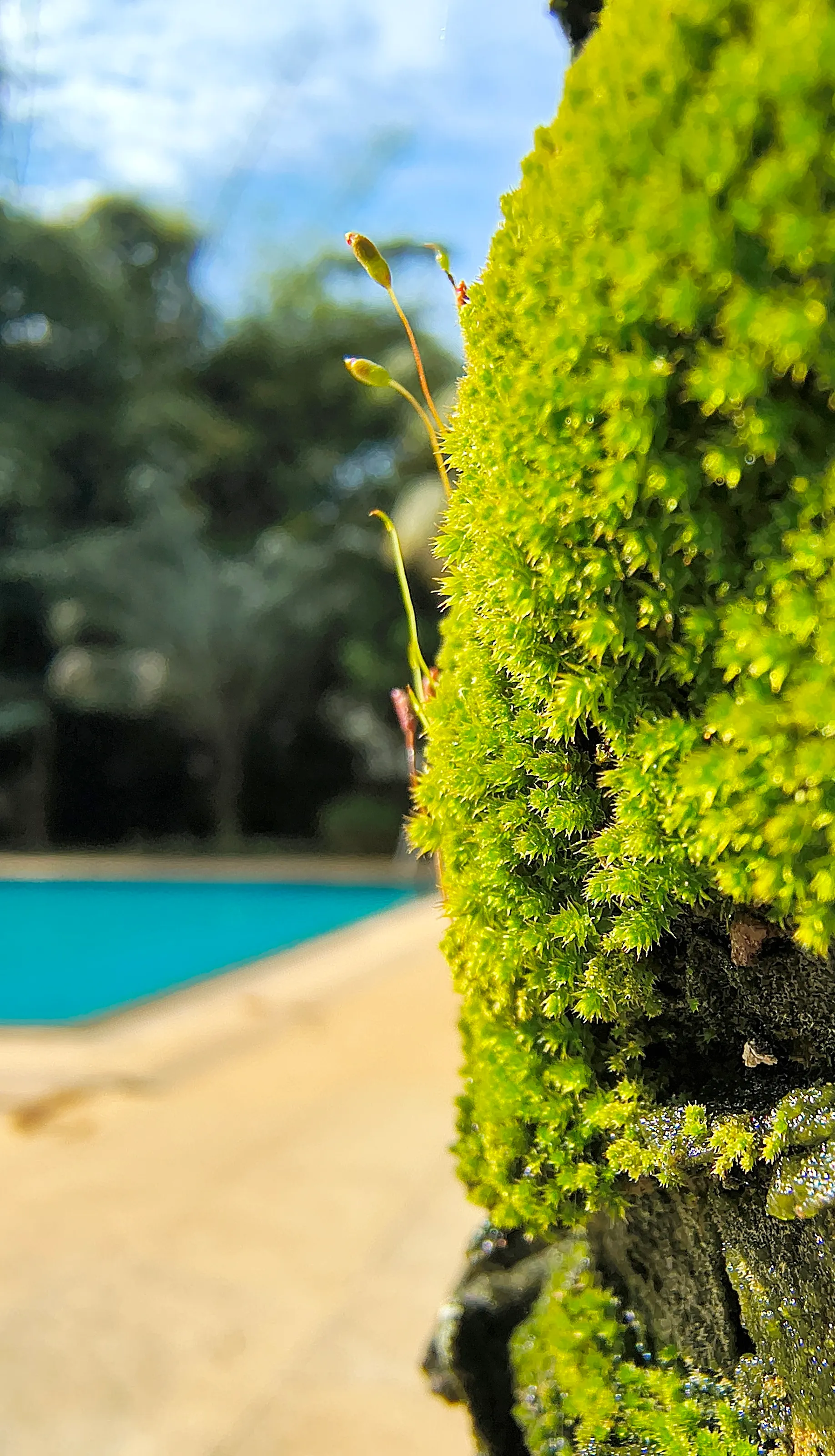 Grow with nature
