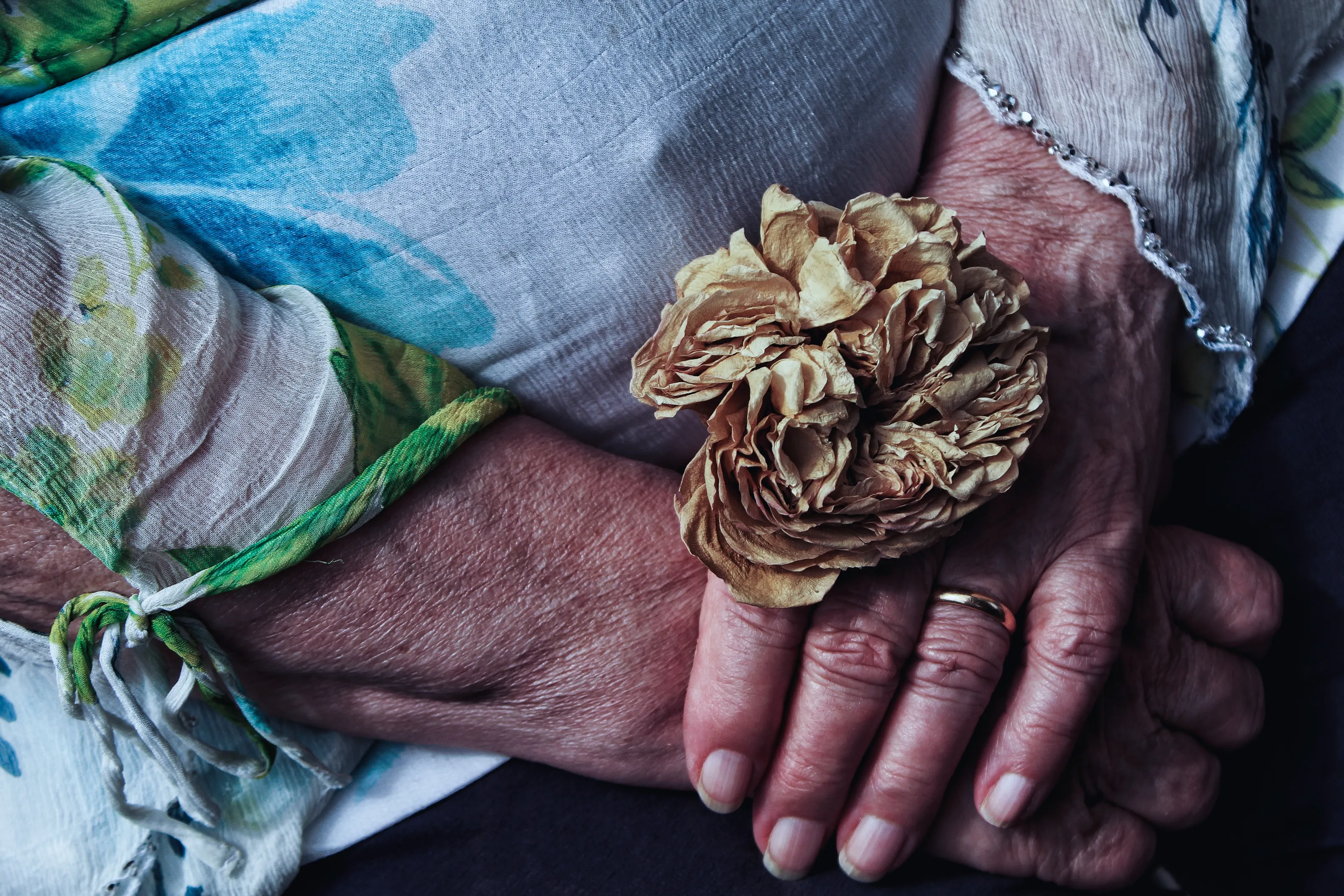 The Flower That Stayed