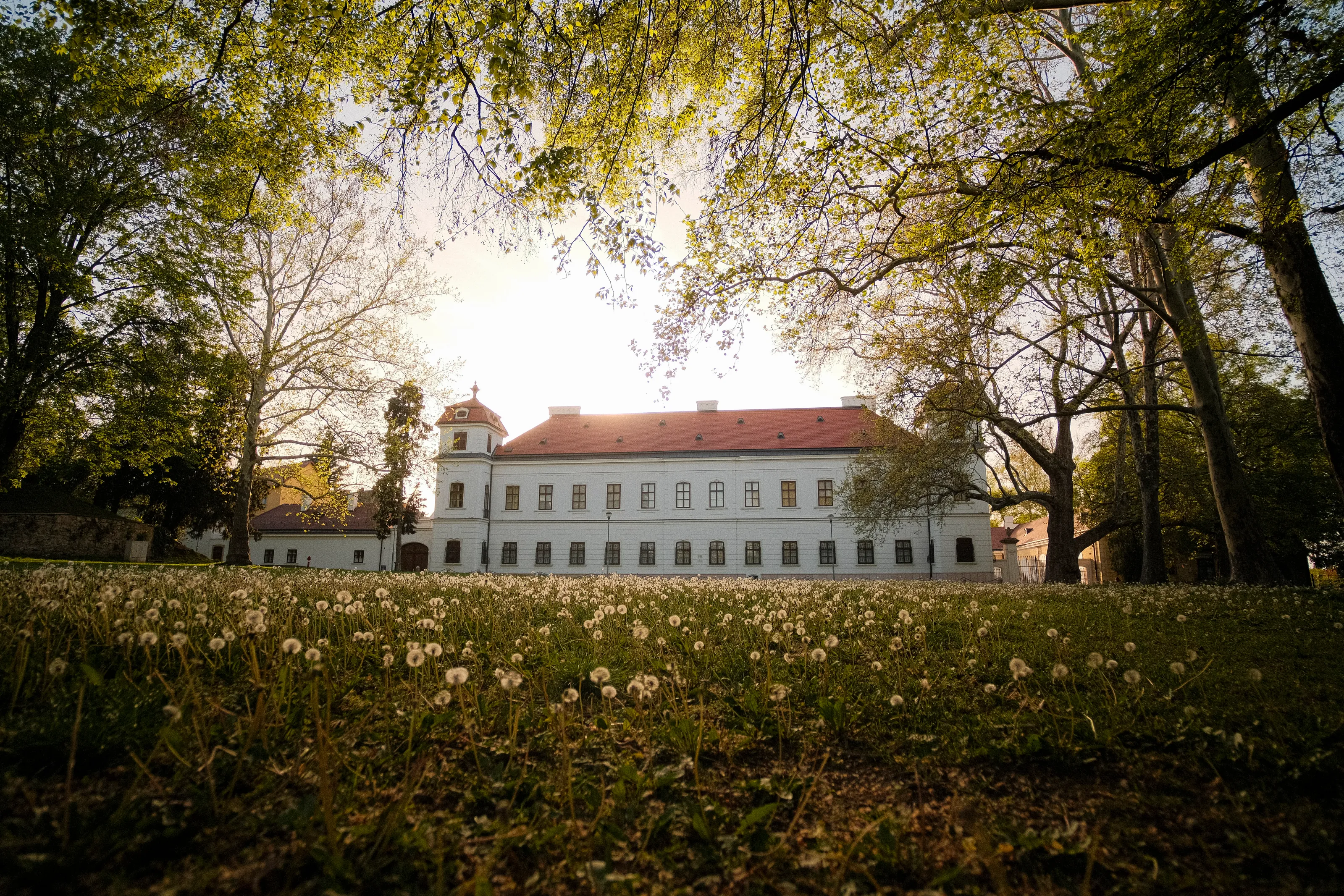 Esterházy Castle