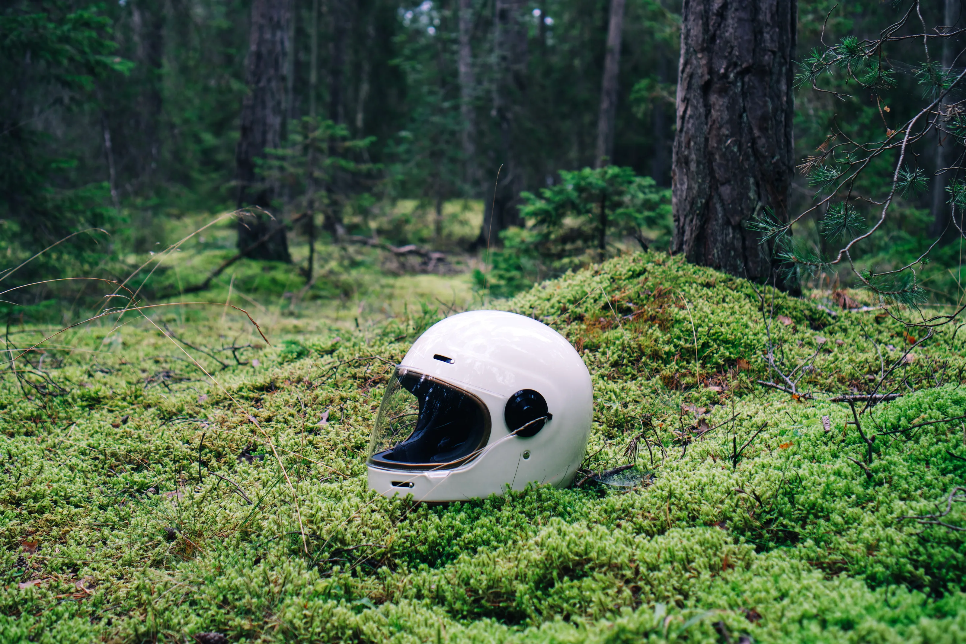 AstroMoss