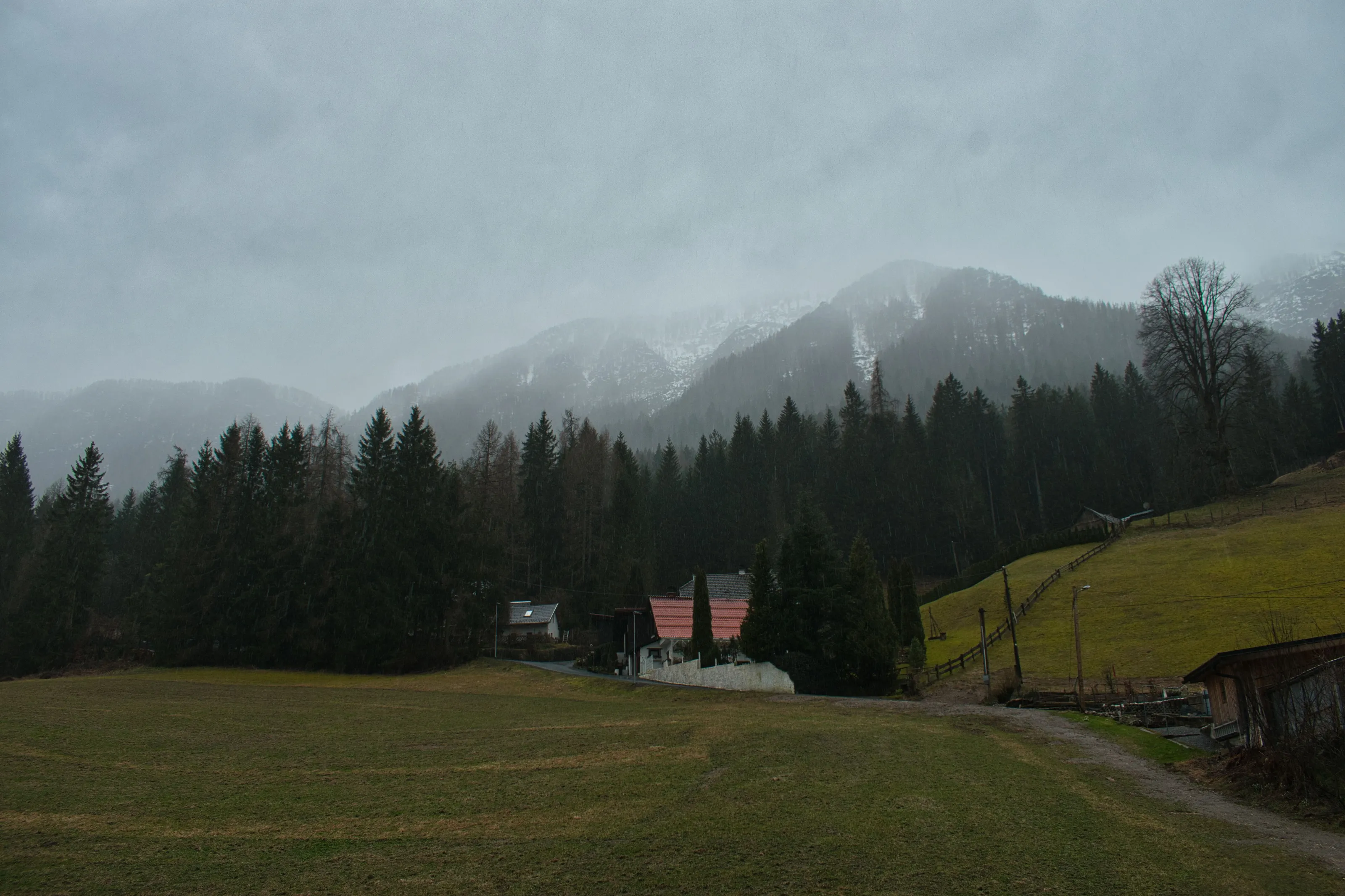 peace and cold