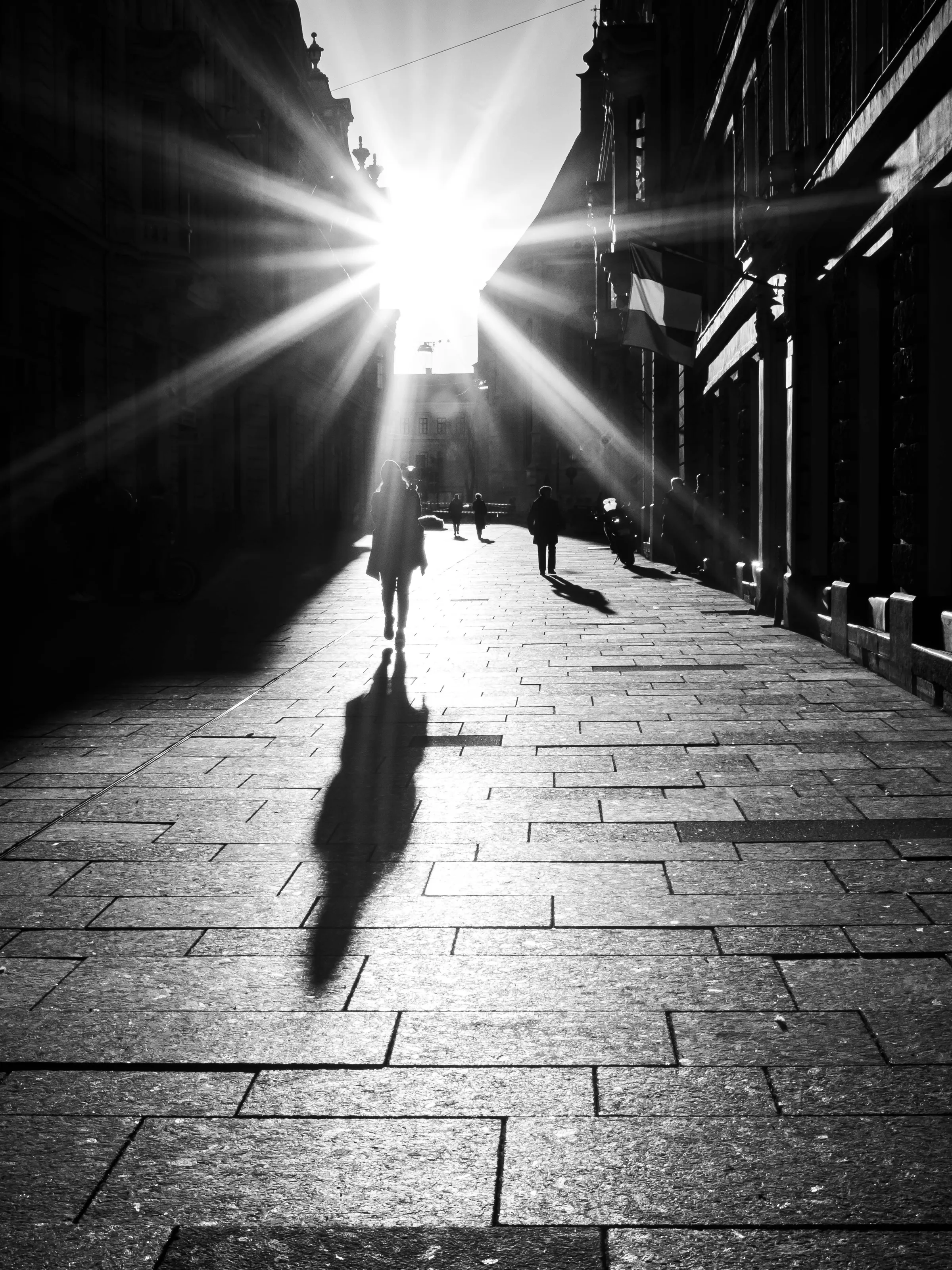 Into the night