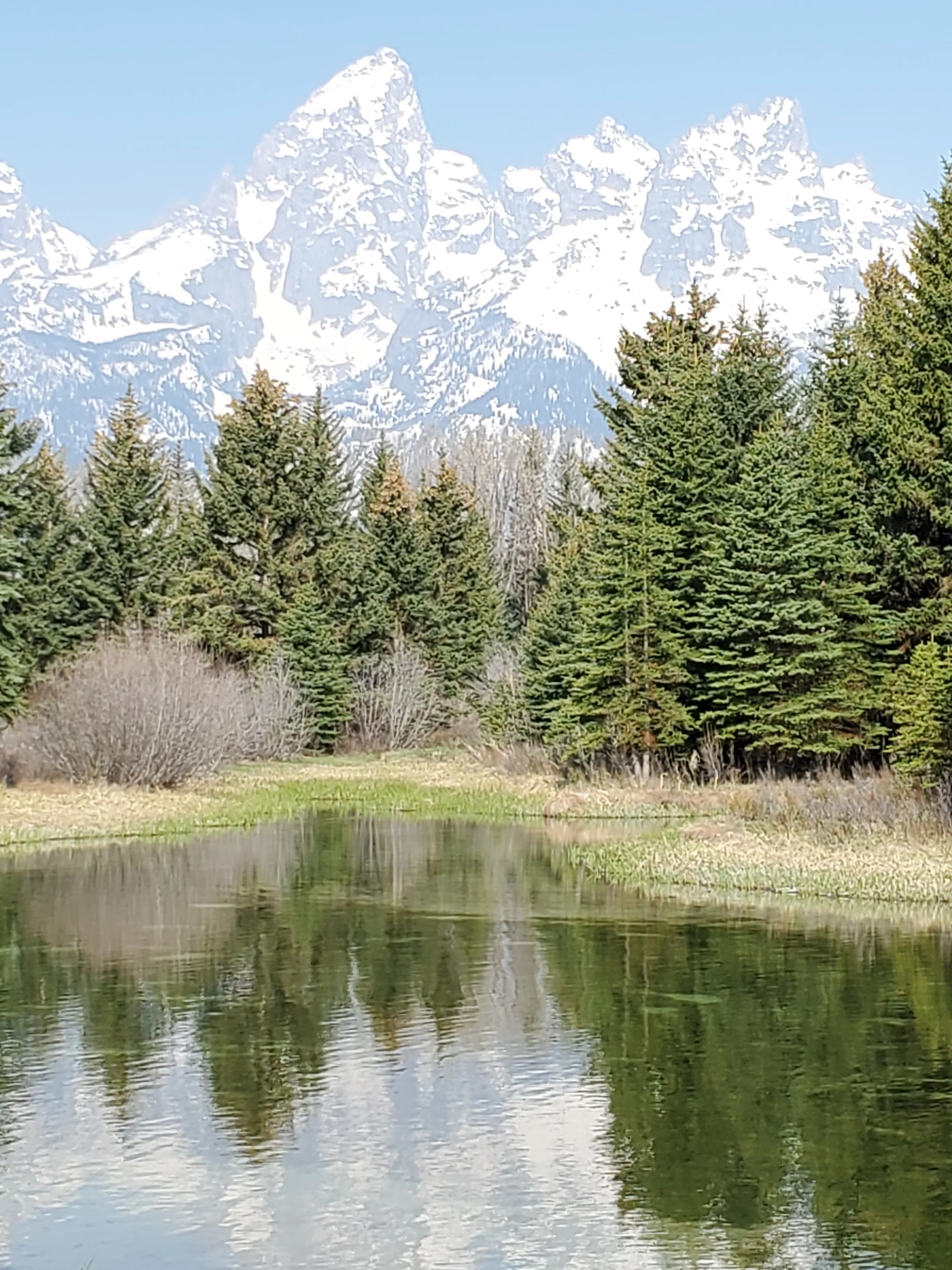 Reflections in Wyoming