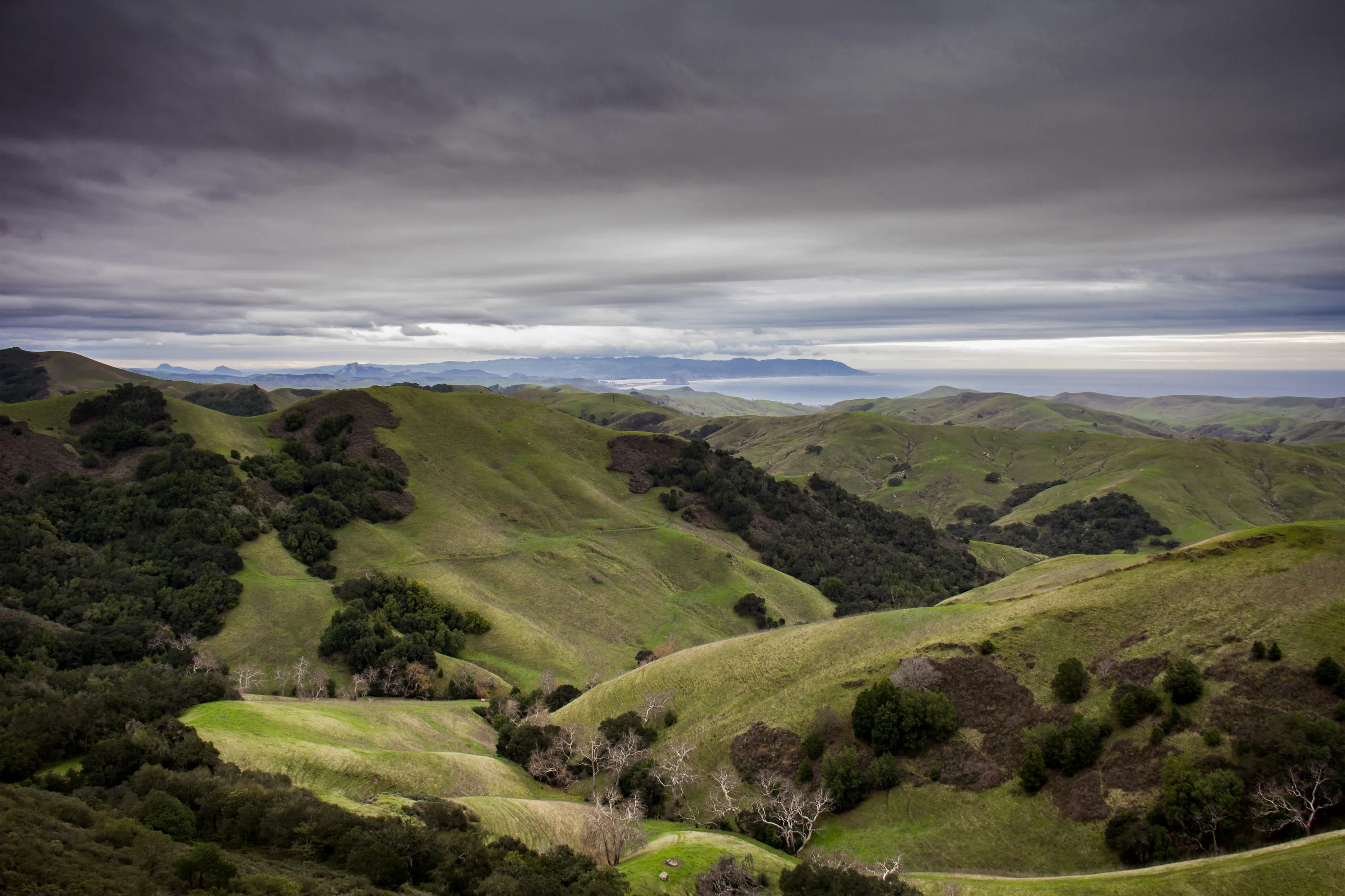 Central California Coast
