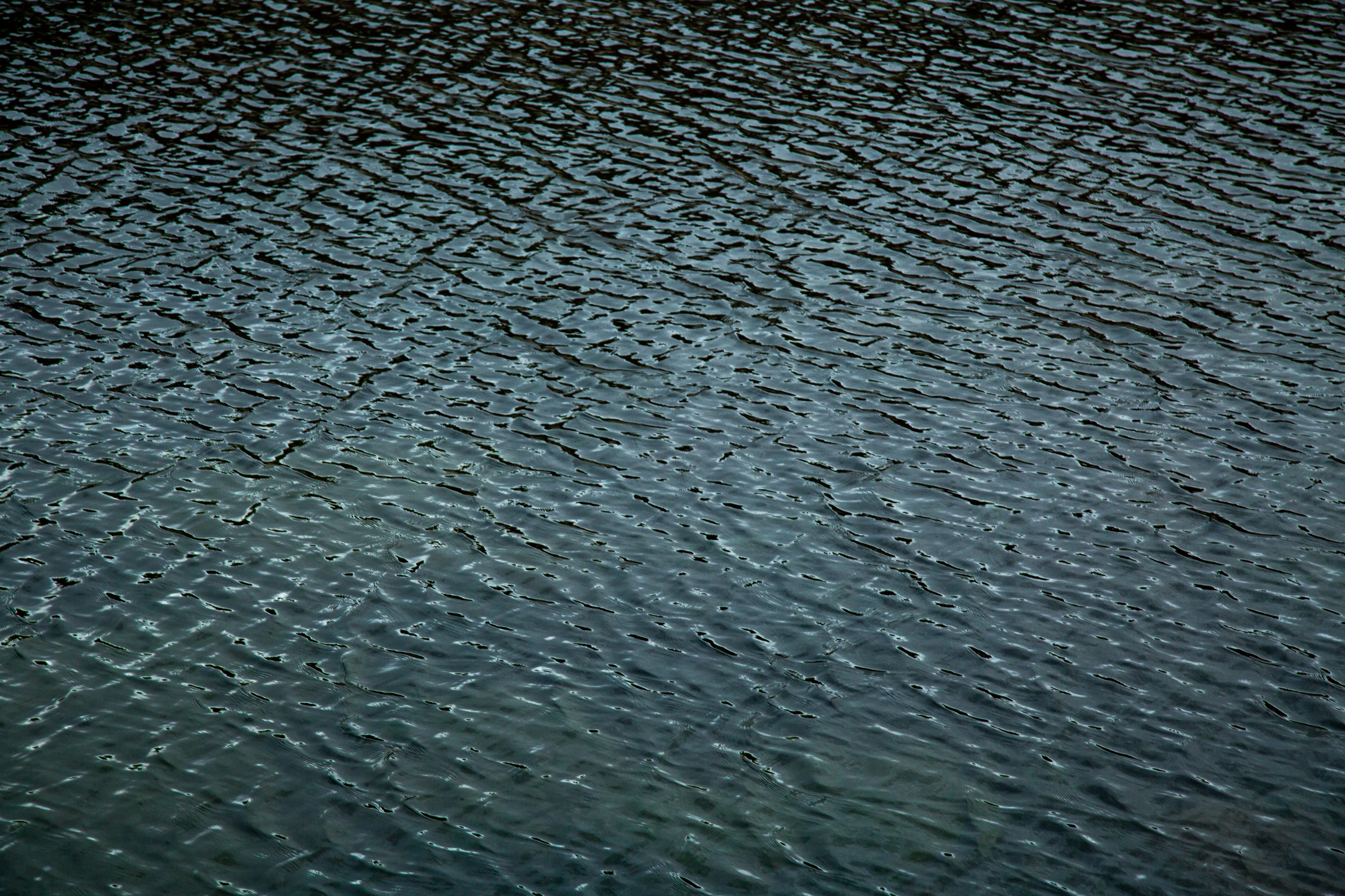frozen in motion