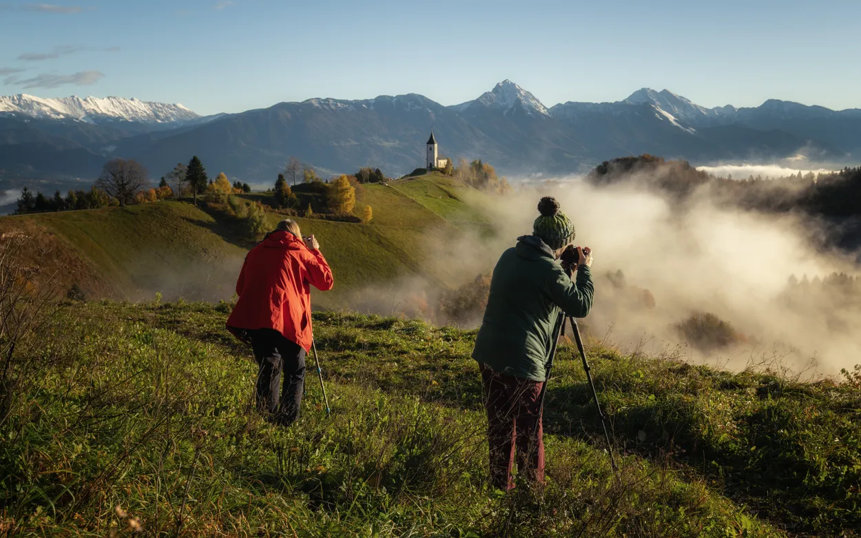 Entry 26425898