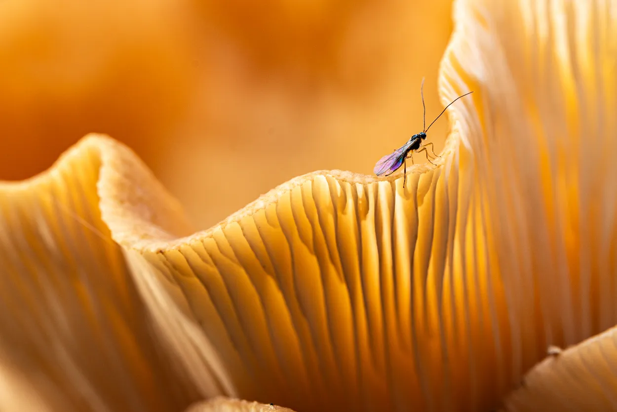Untitled image