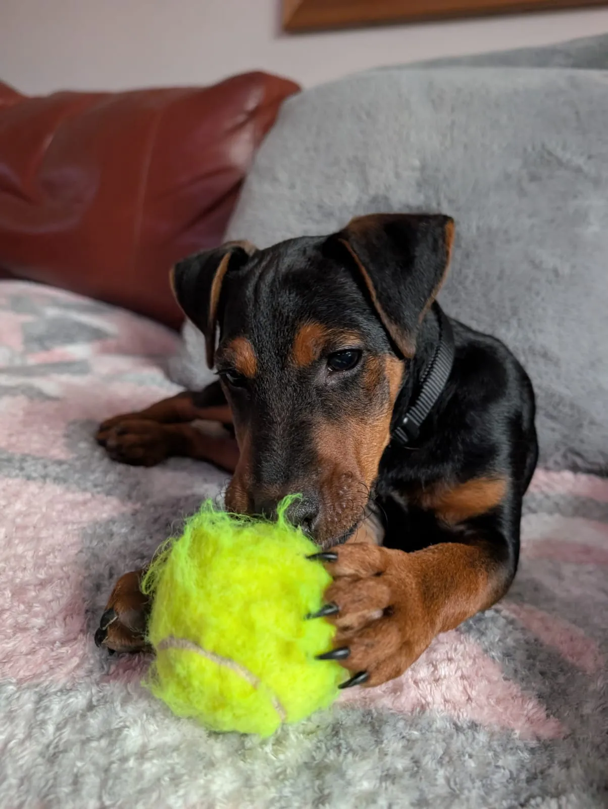 Stan destroying ball