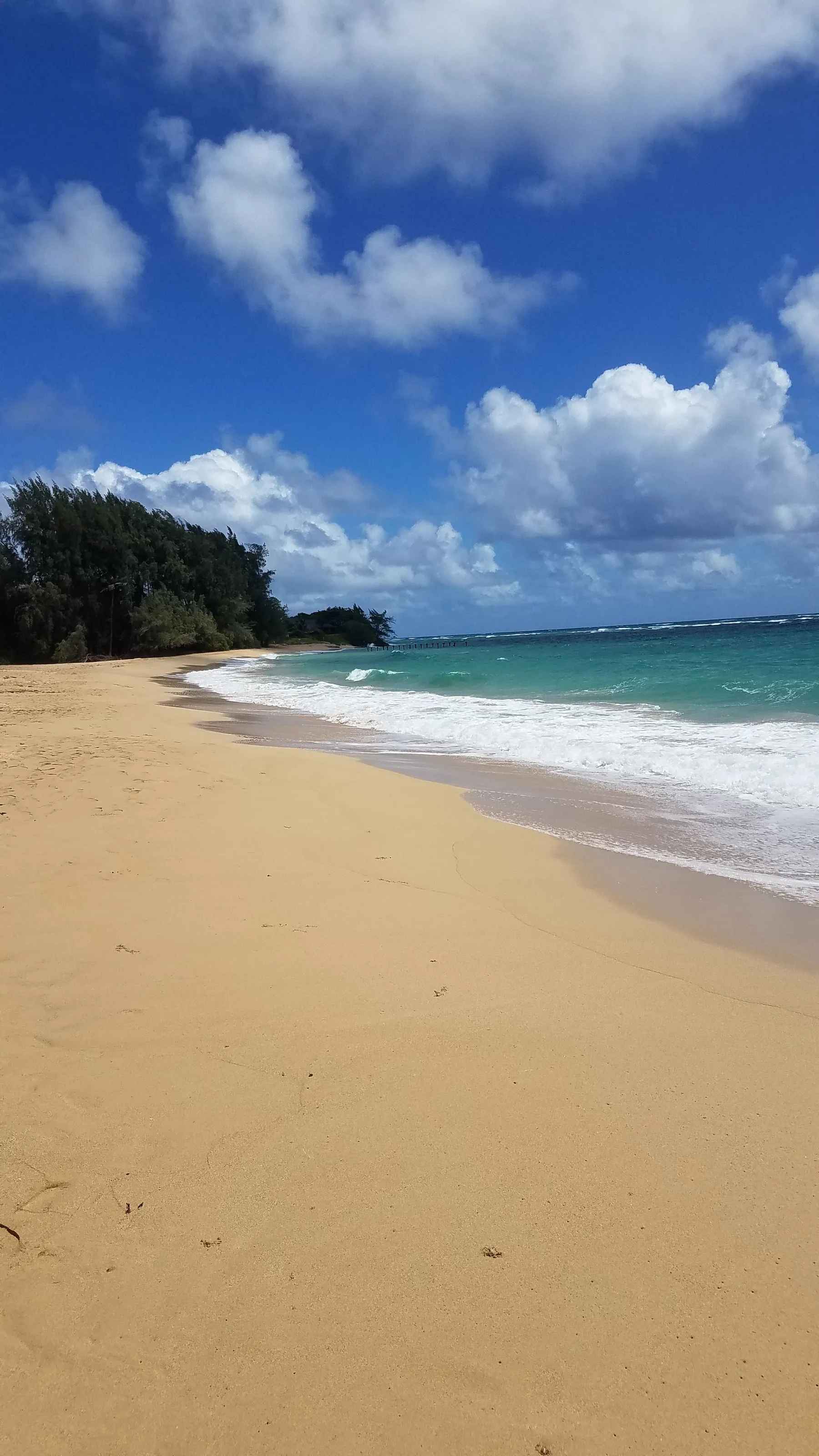 Maui beach