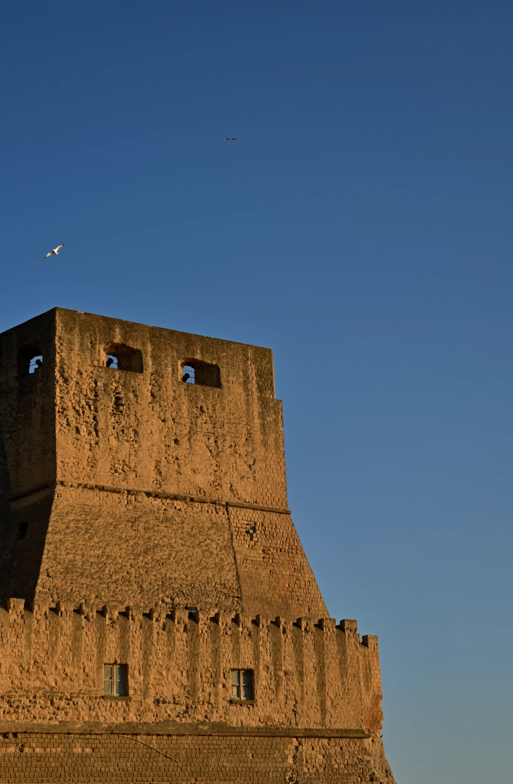 Castle's Glimpses