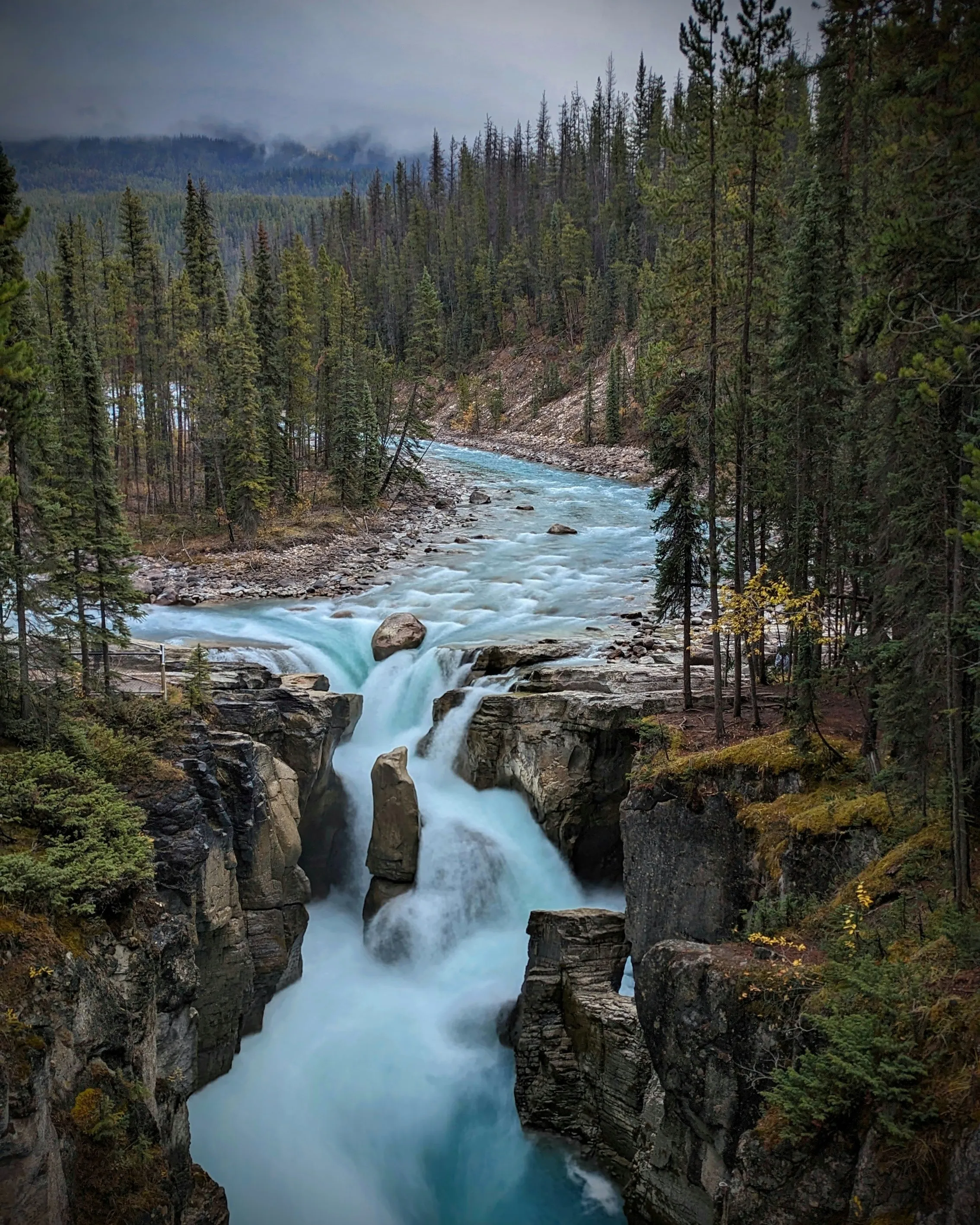Jasper Flow