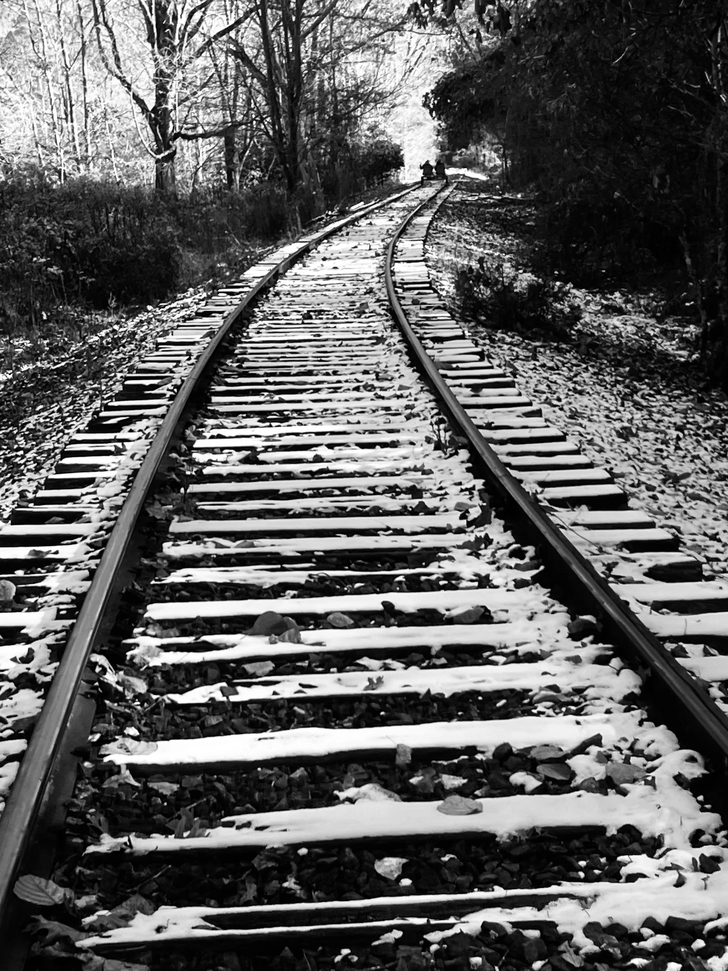 Andrews North Carolina  train tracks
