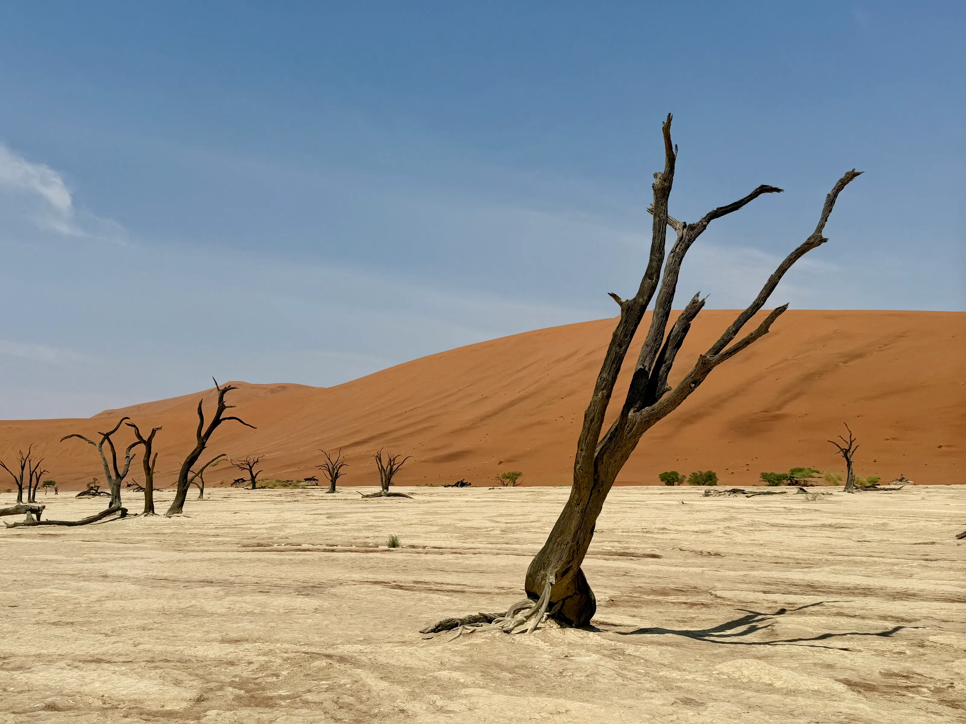 Deadvlei dream