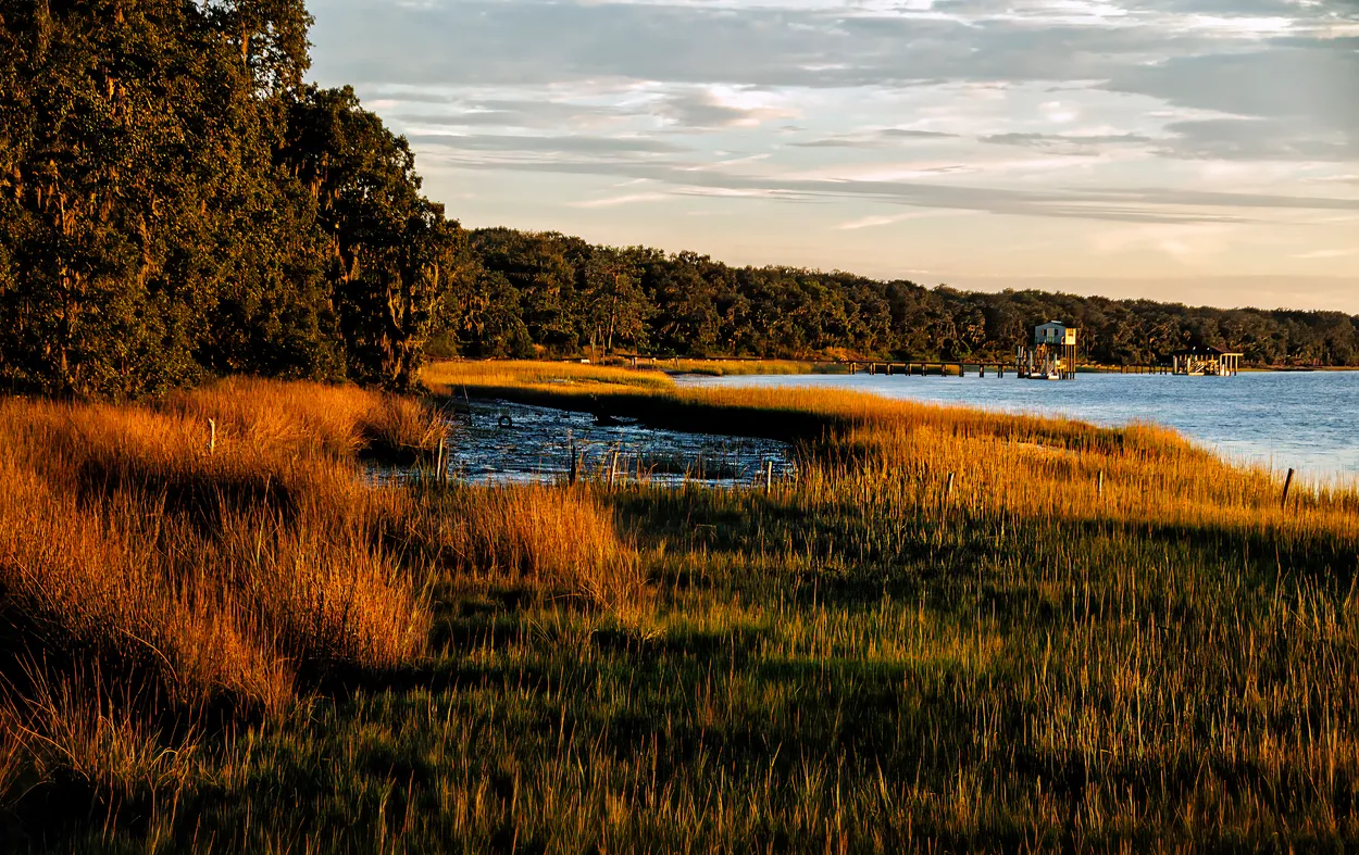 Entry 26482481