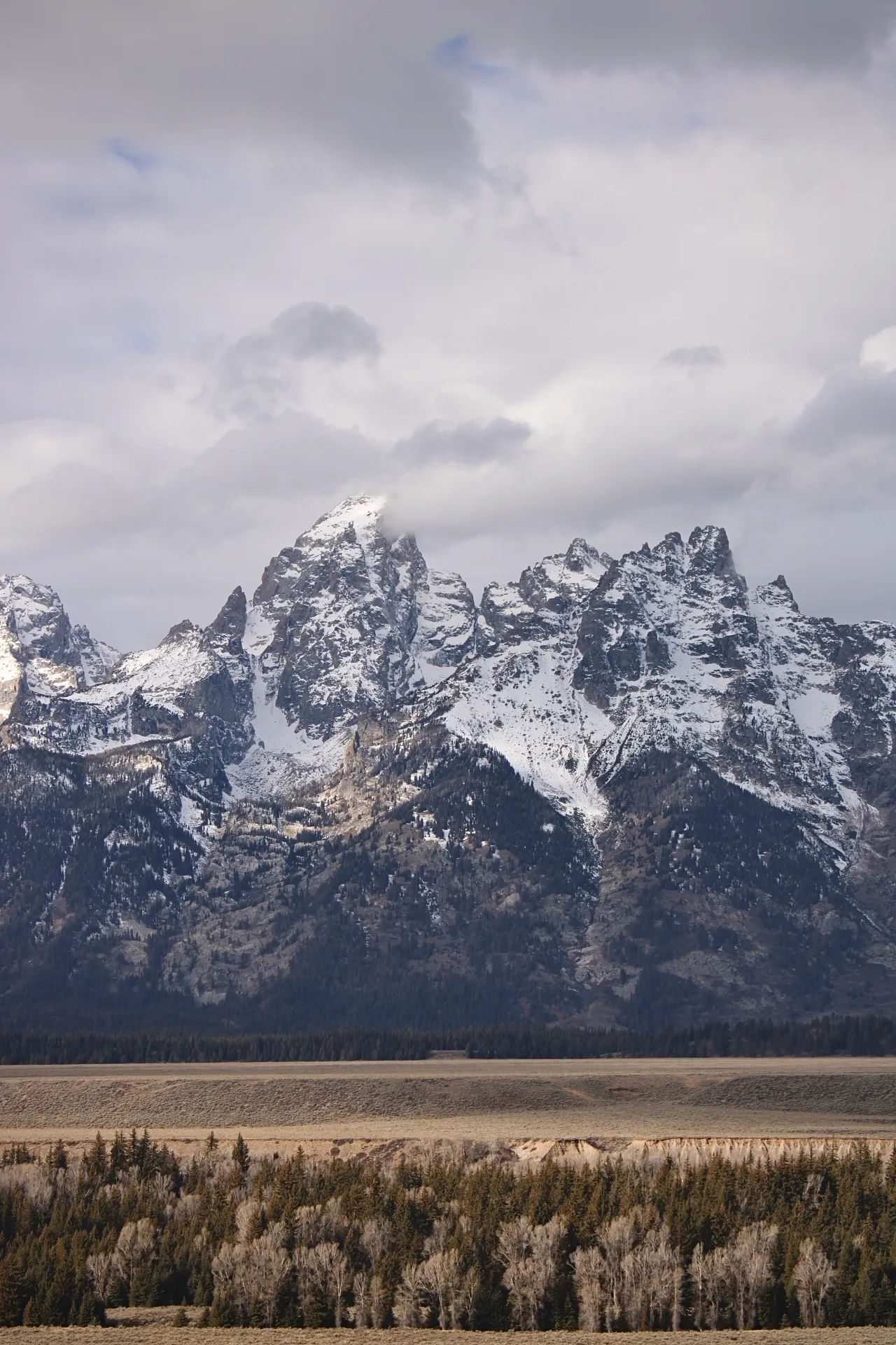 The Grand Tetons