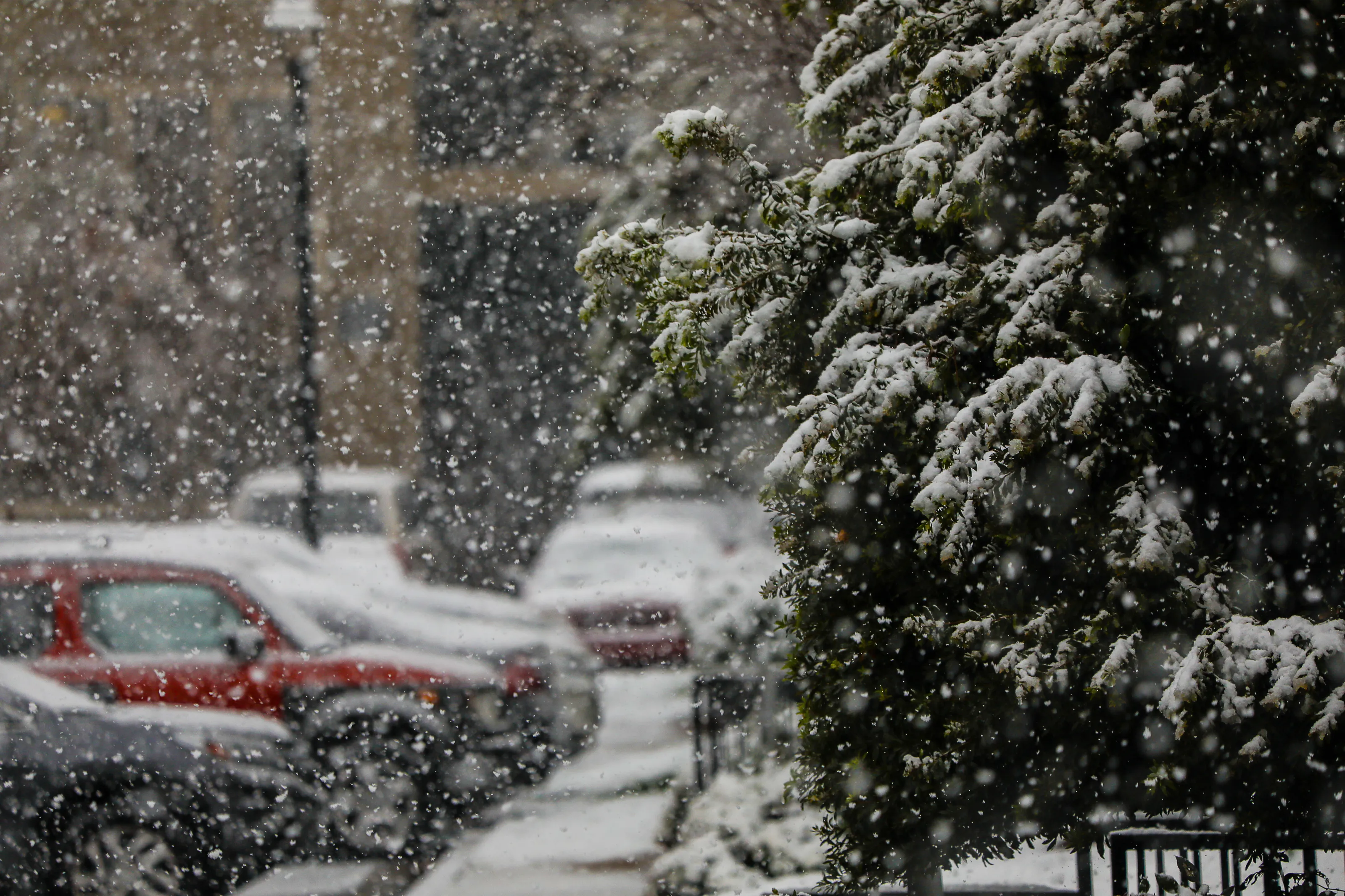 Snowpocalypse