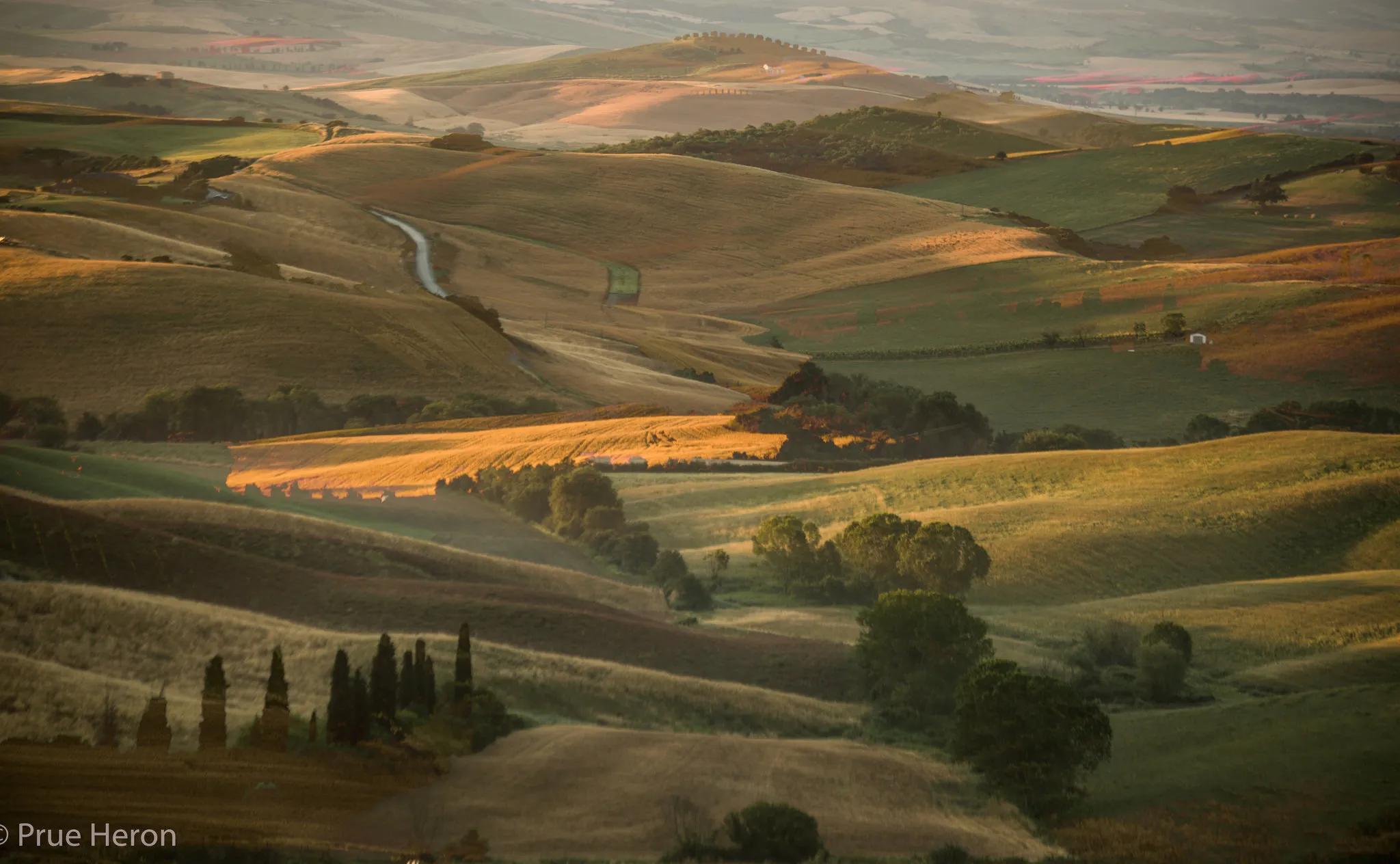 Tuscan morning