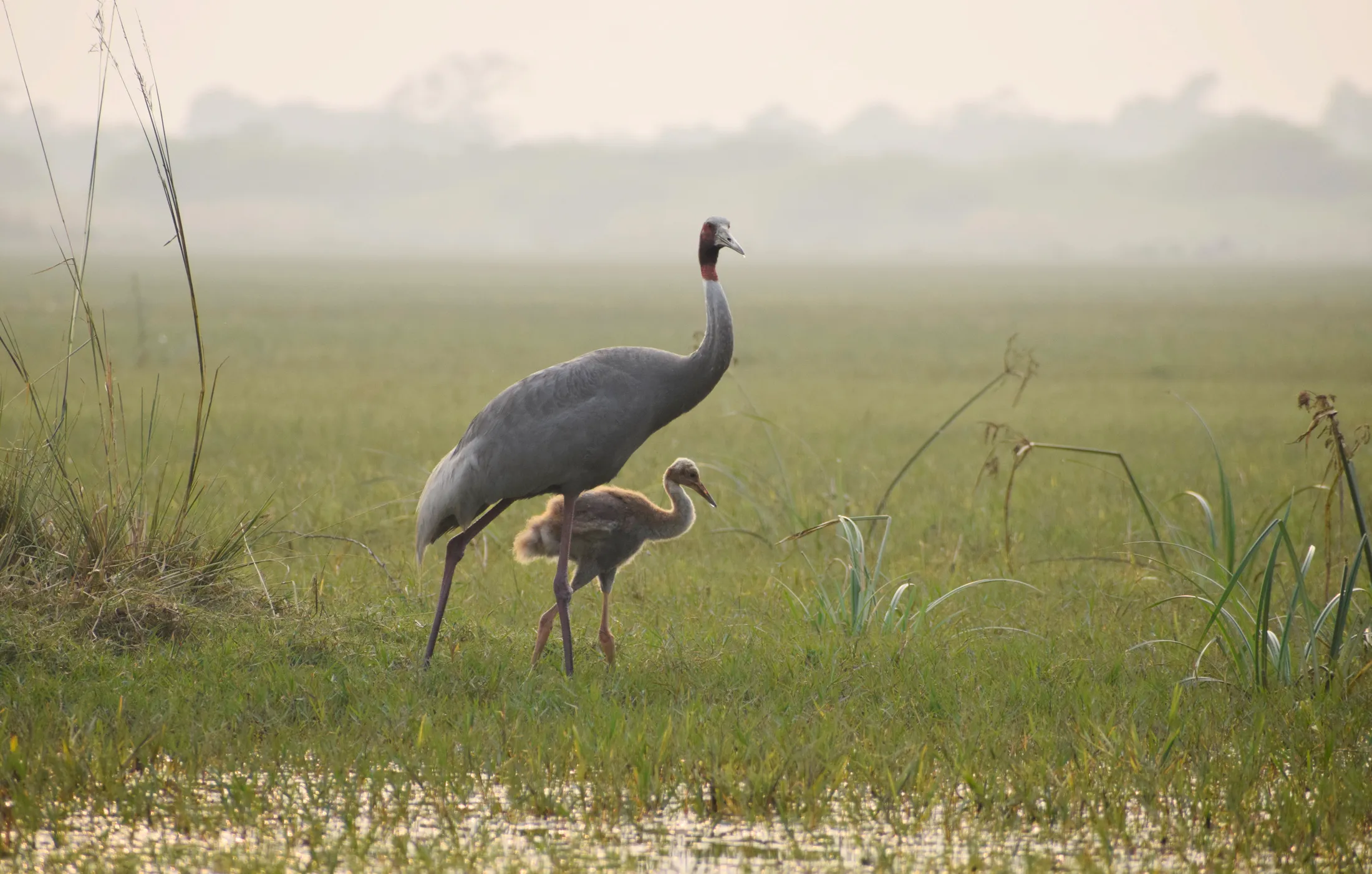A Mother’s Quiet Watch