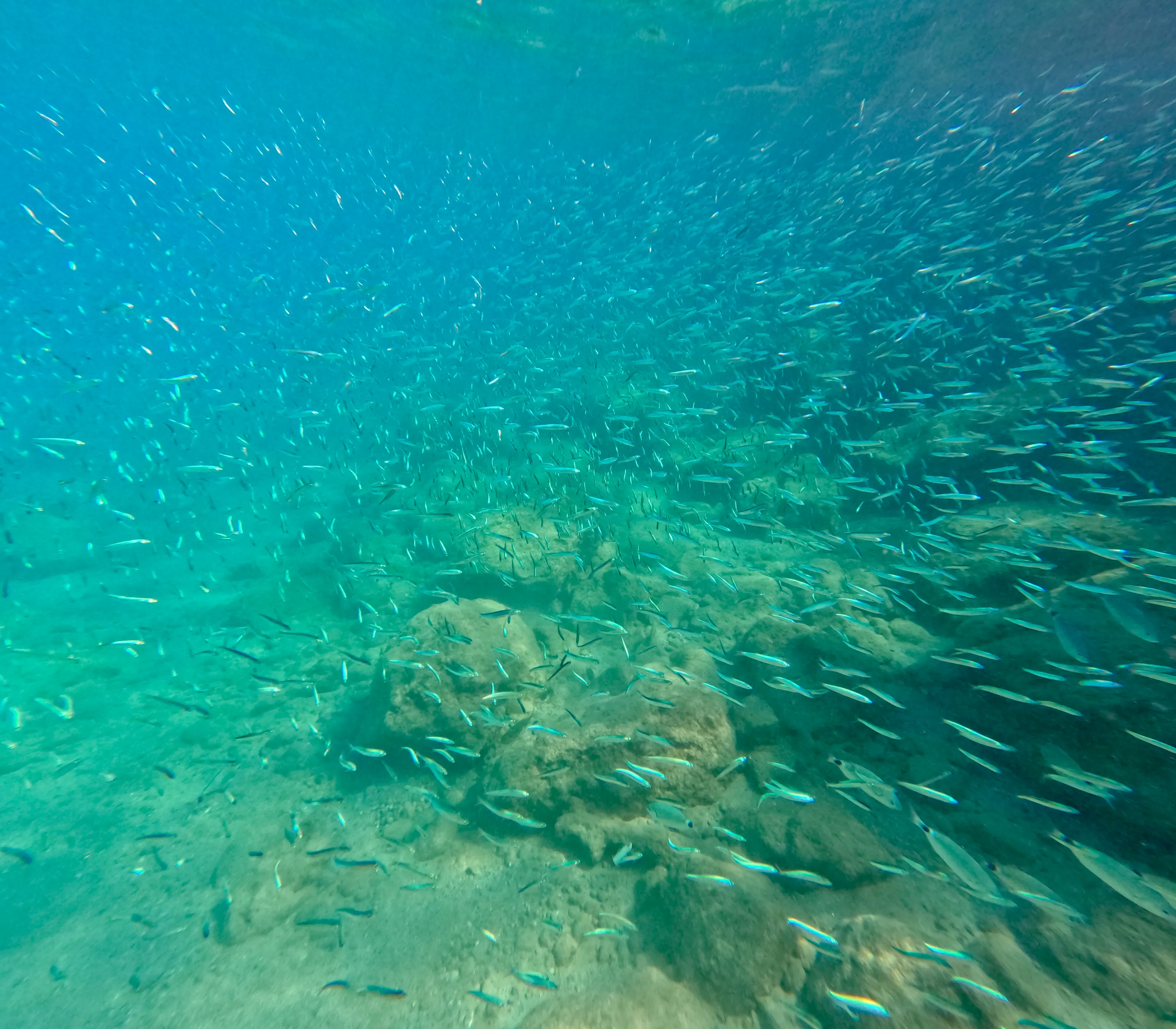 Into the blue