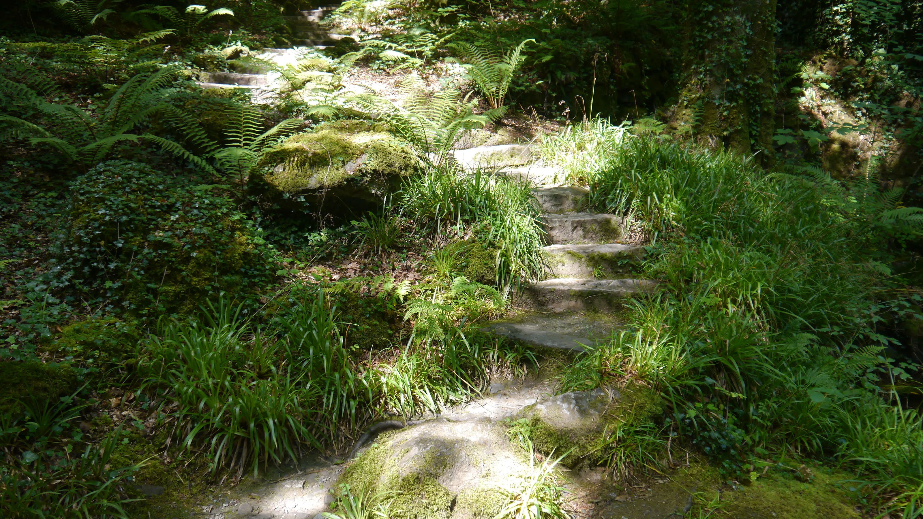 Light the path