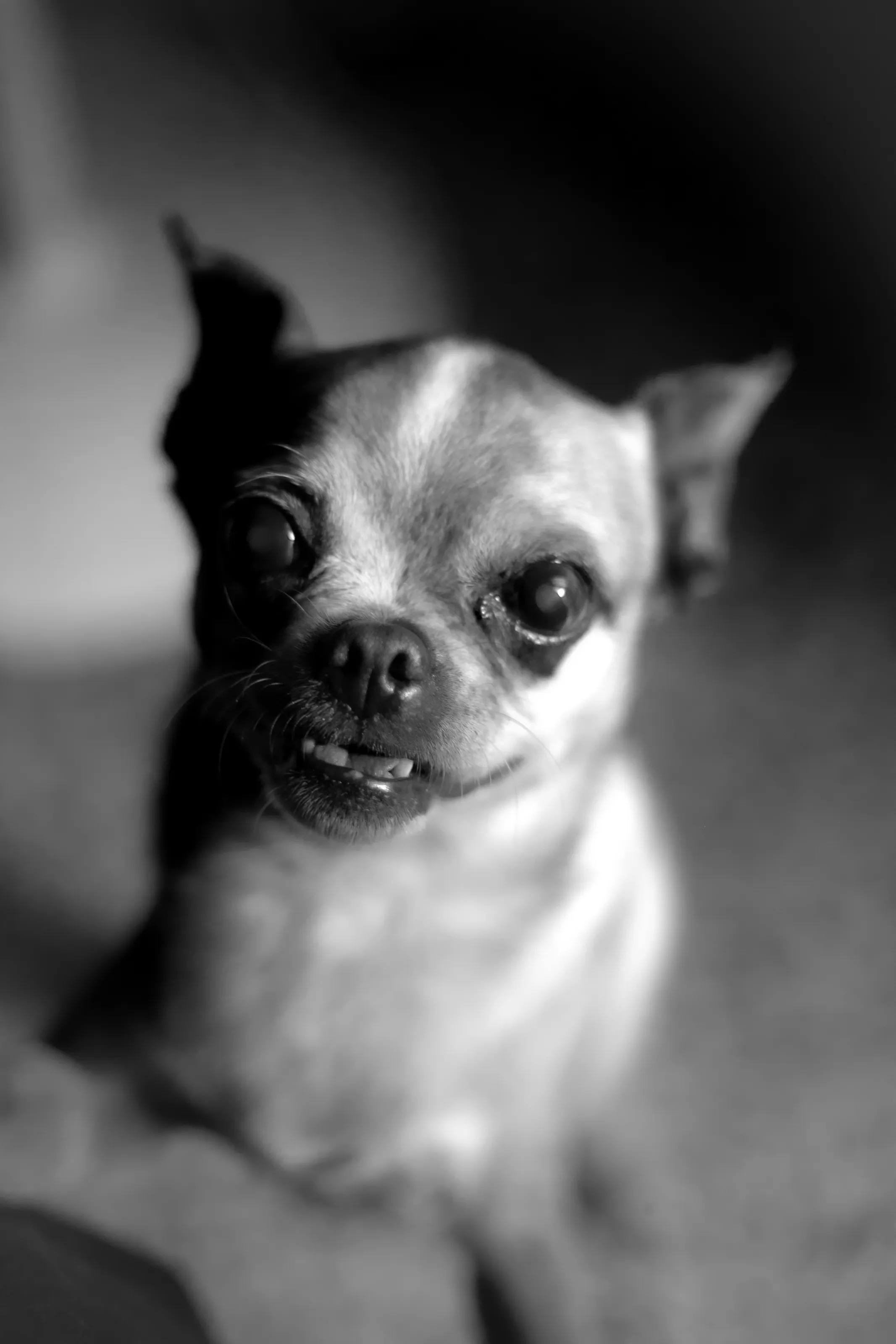 ''TANU''