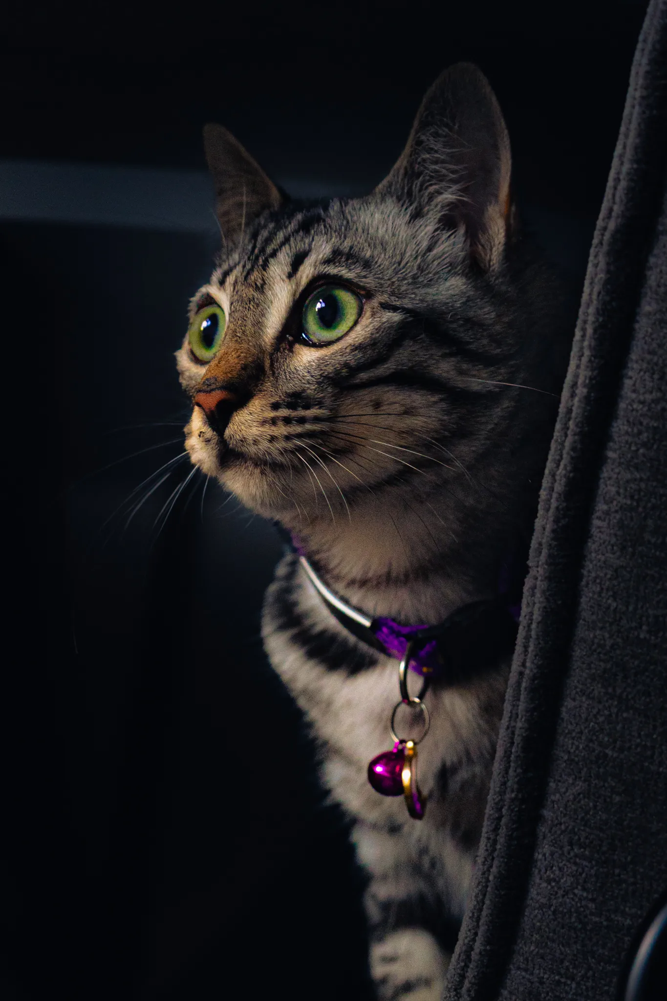 Curiosity