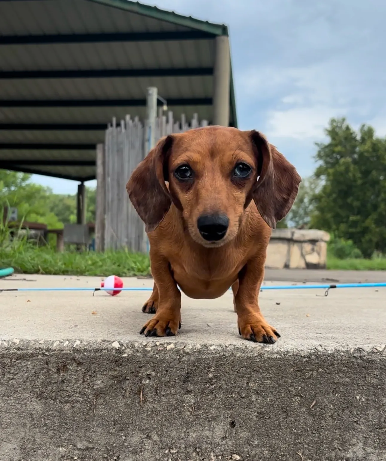 Fishing with Belie