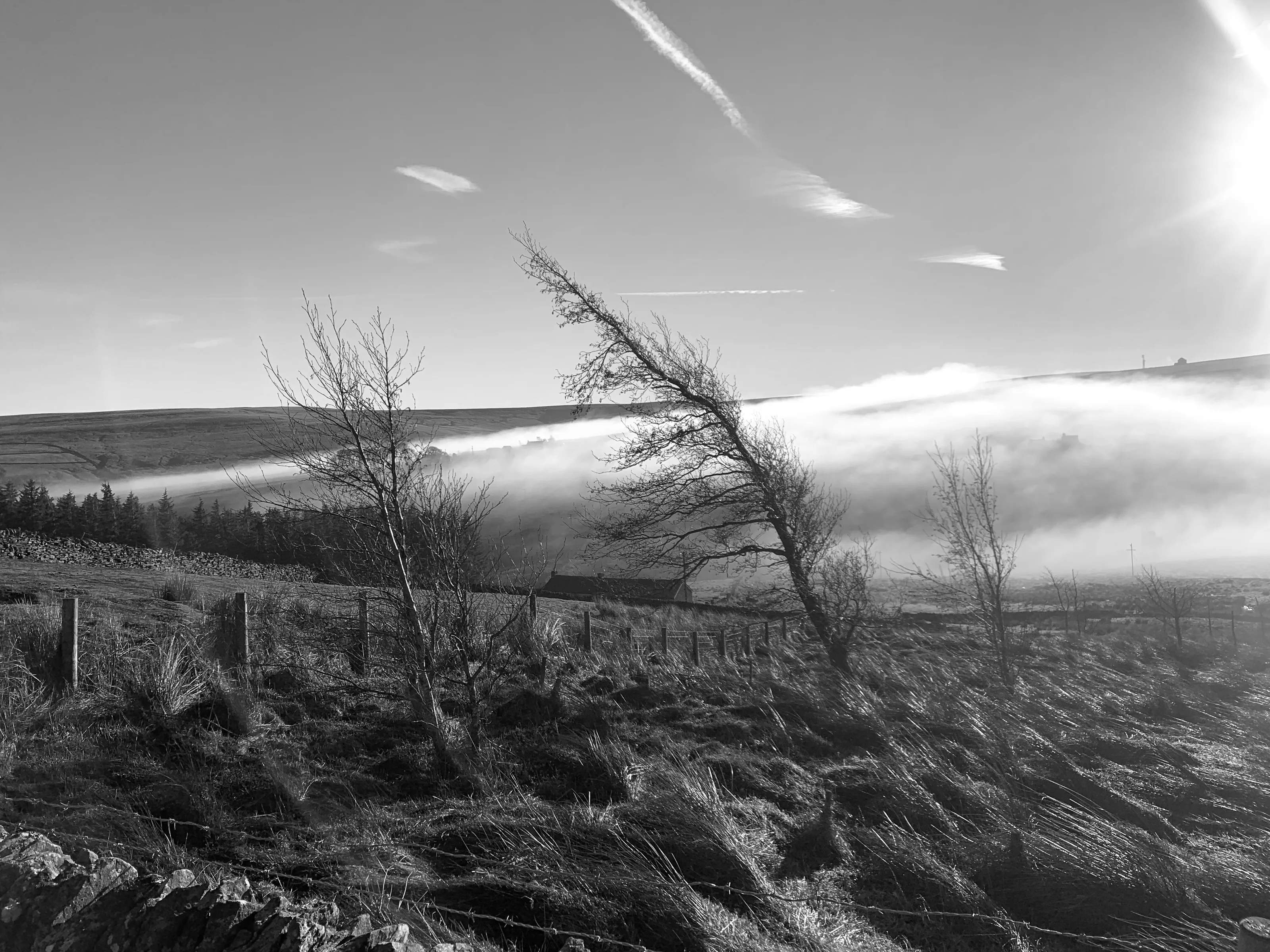 Fog, Mist and Mystery