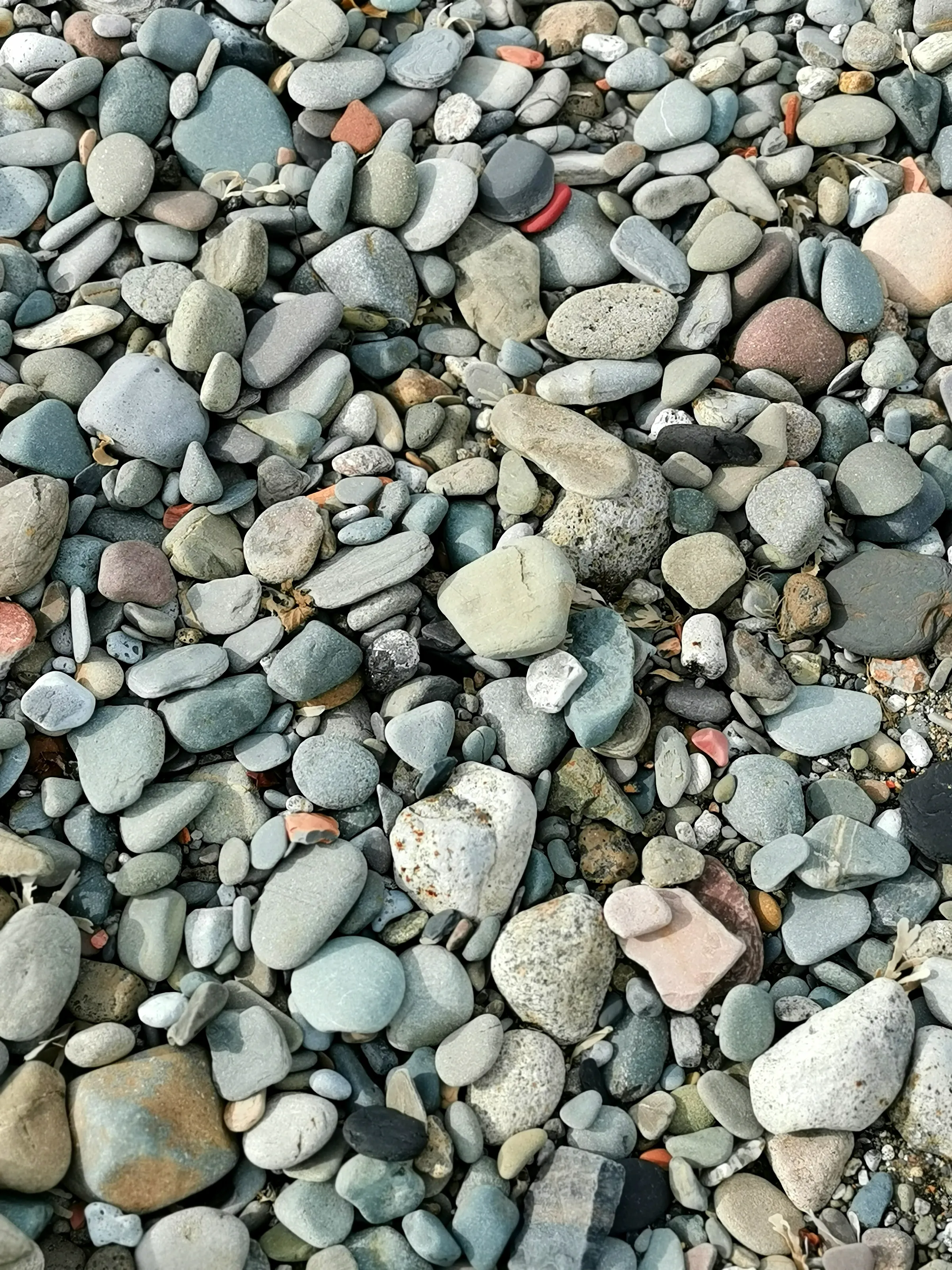 Rocky world.