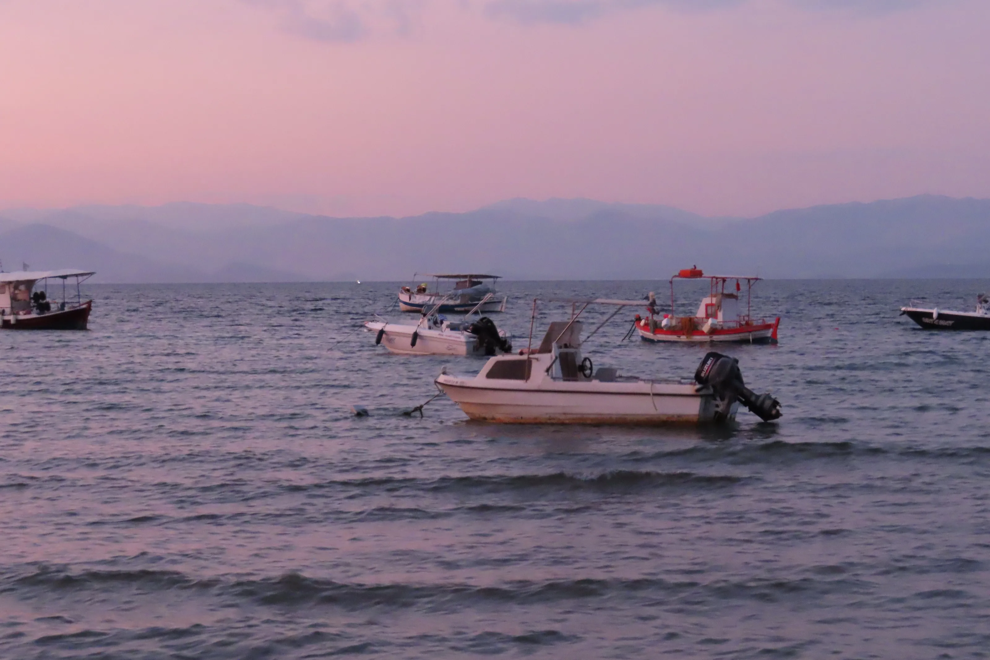 Sunkissed boat
