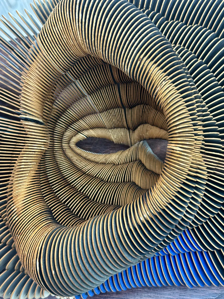 Entry 26582110