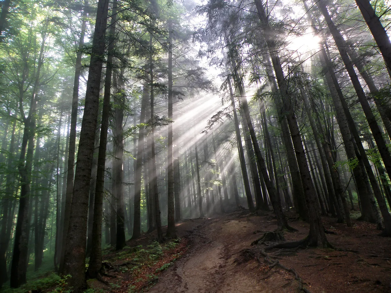 Entry 1427672