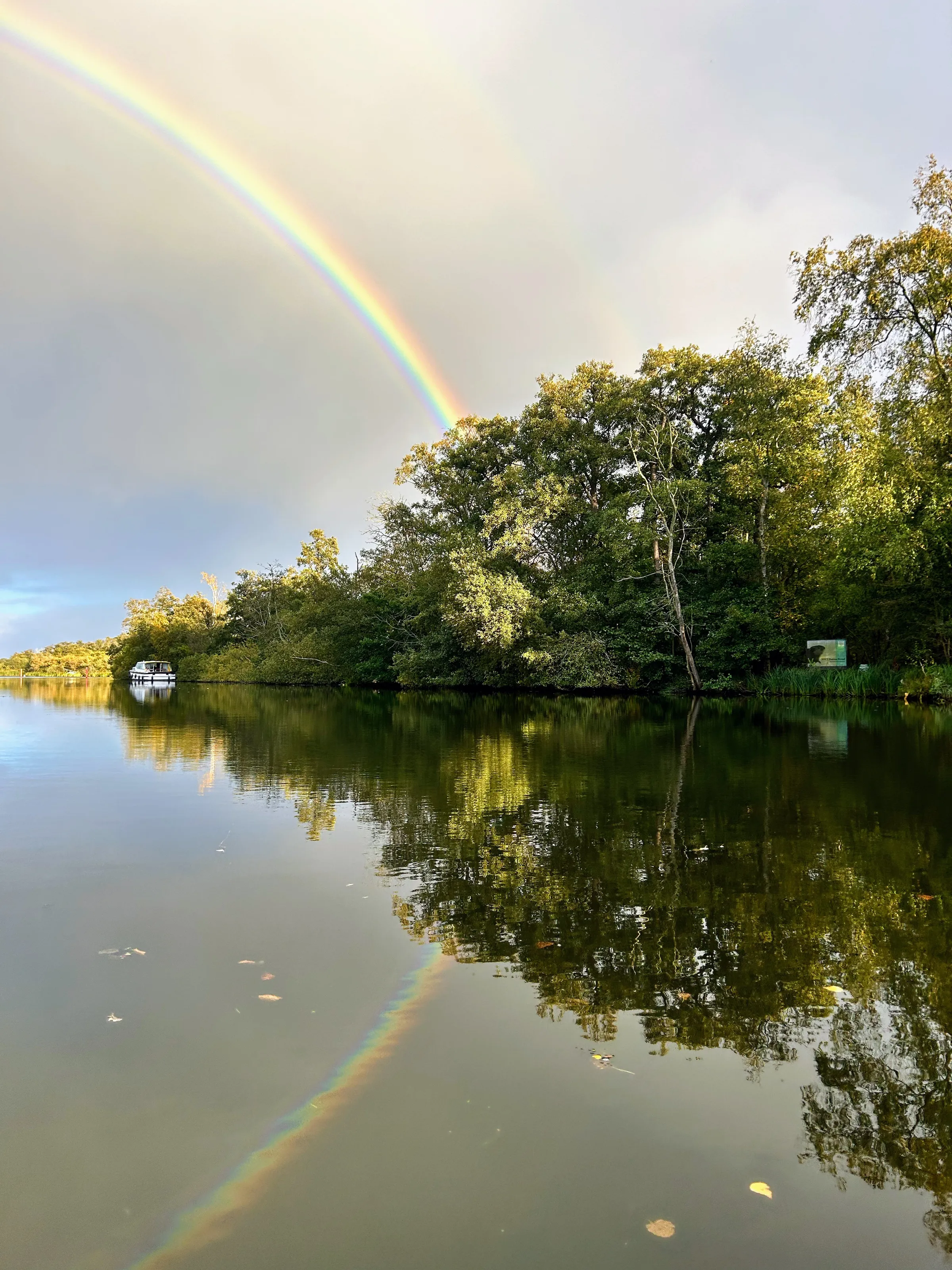 Reflections