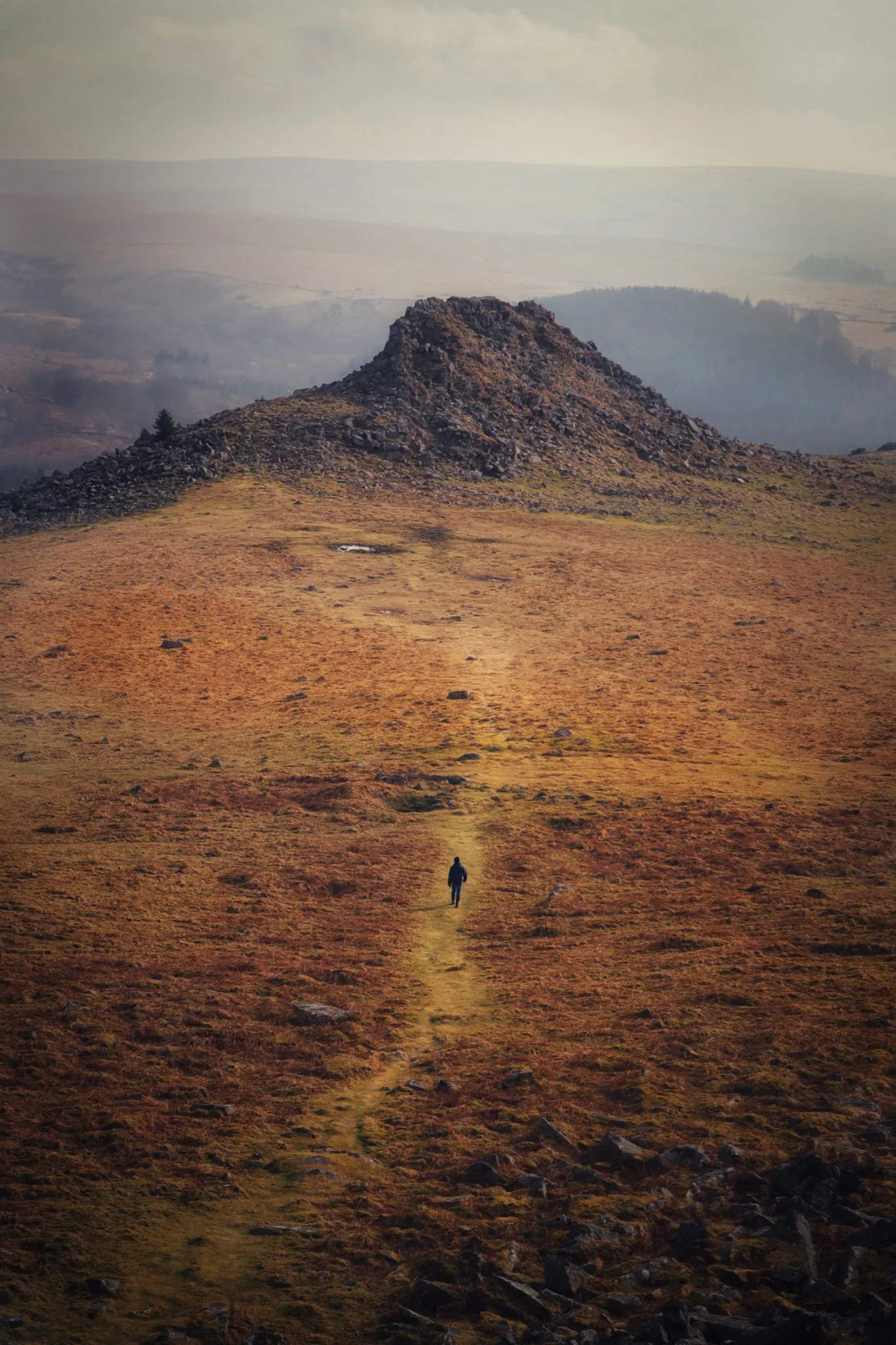 Solitude