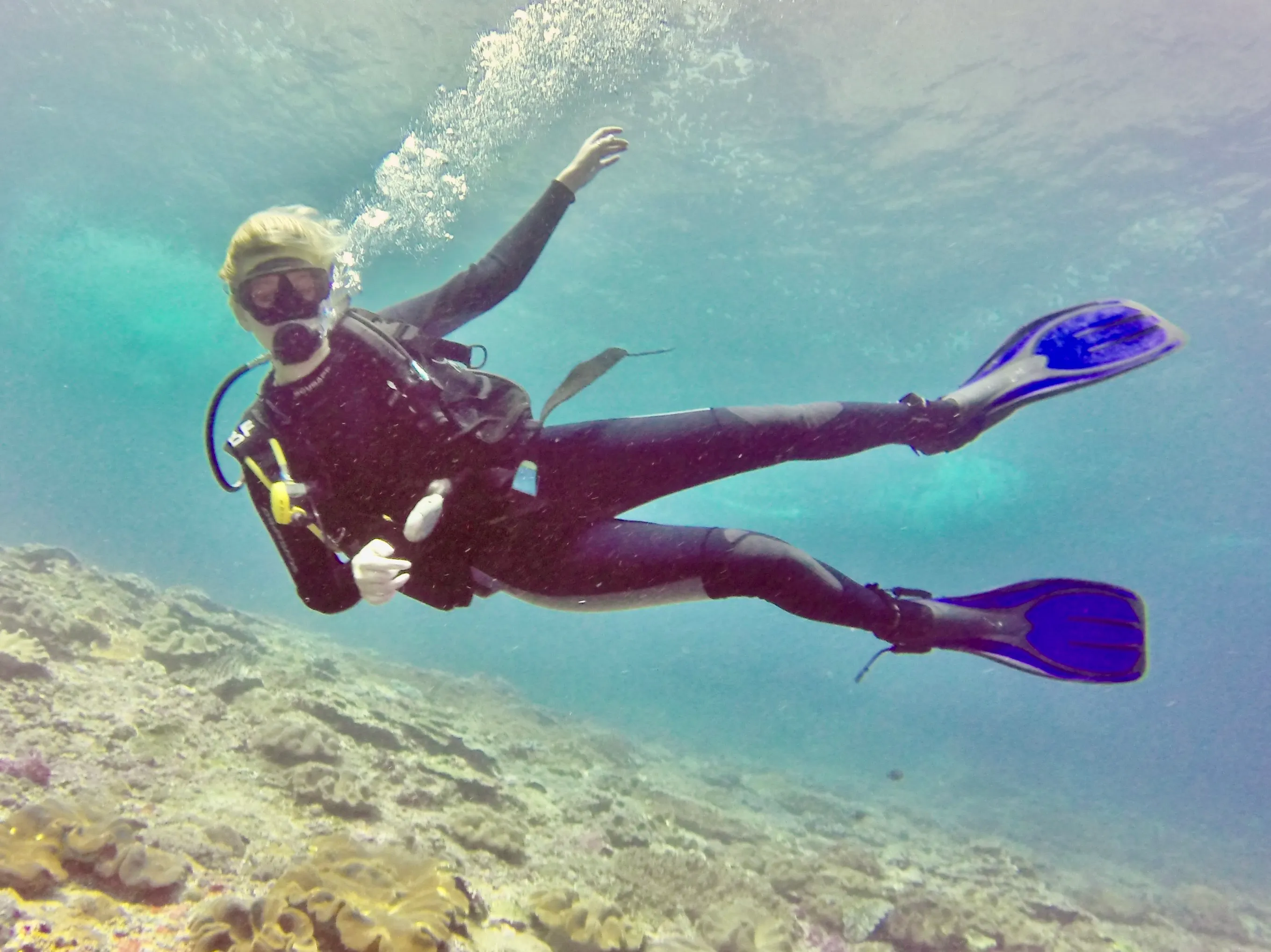 People Scuba Diving