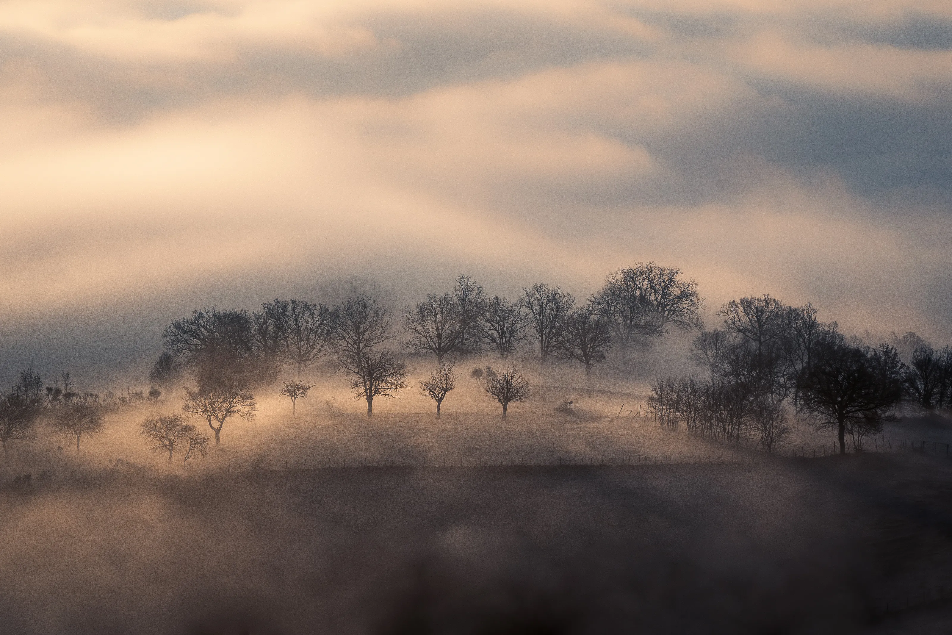 Sunrise over the forest