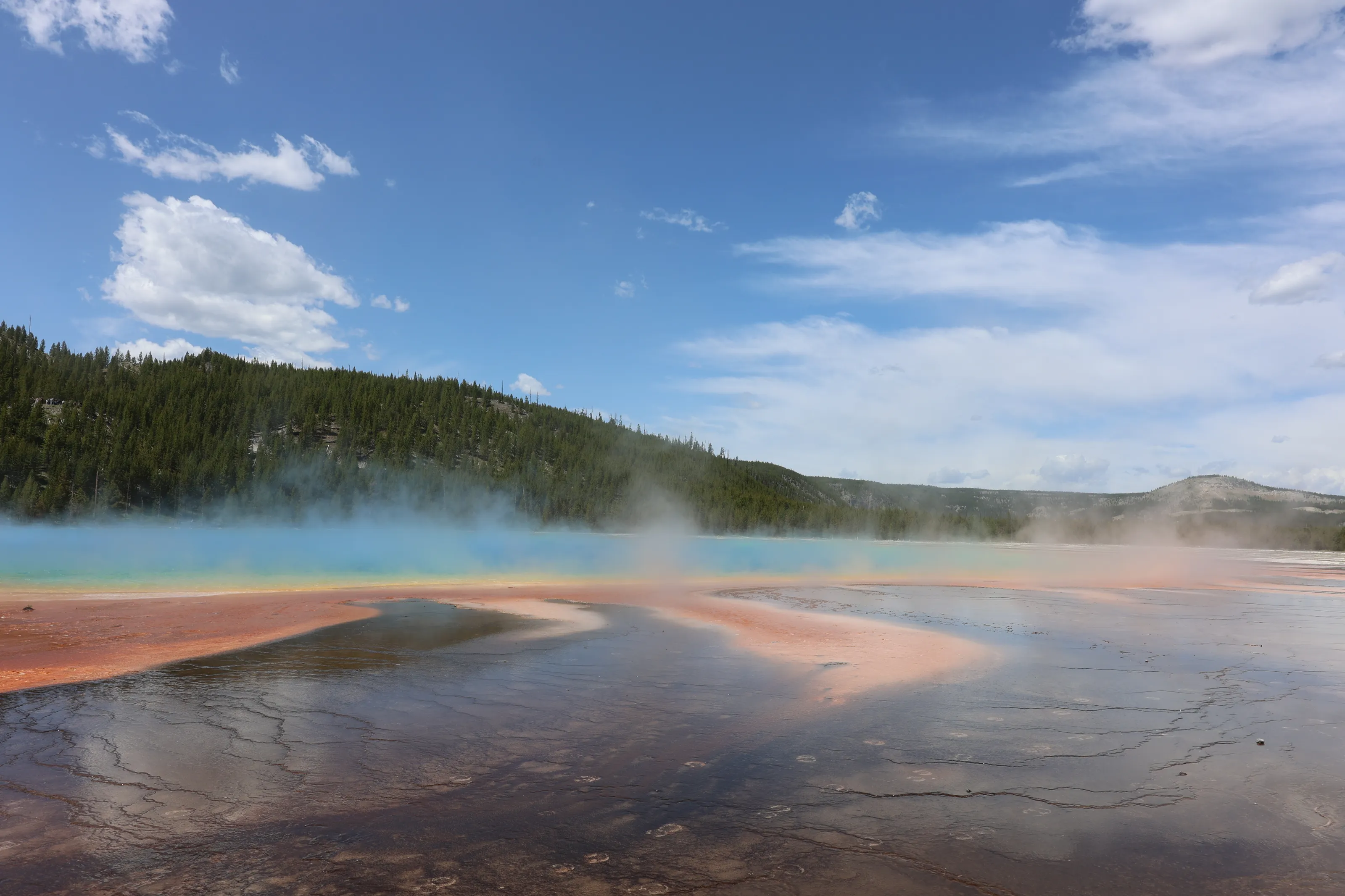 Yellowstone Landscape