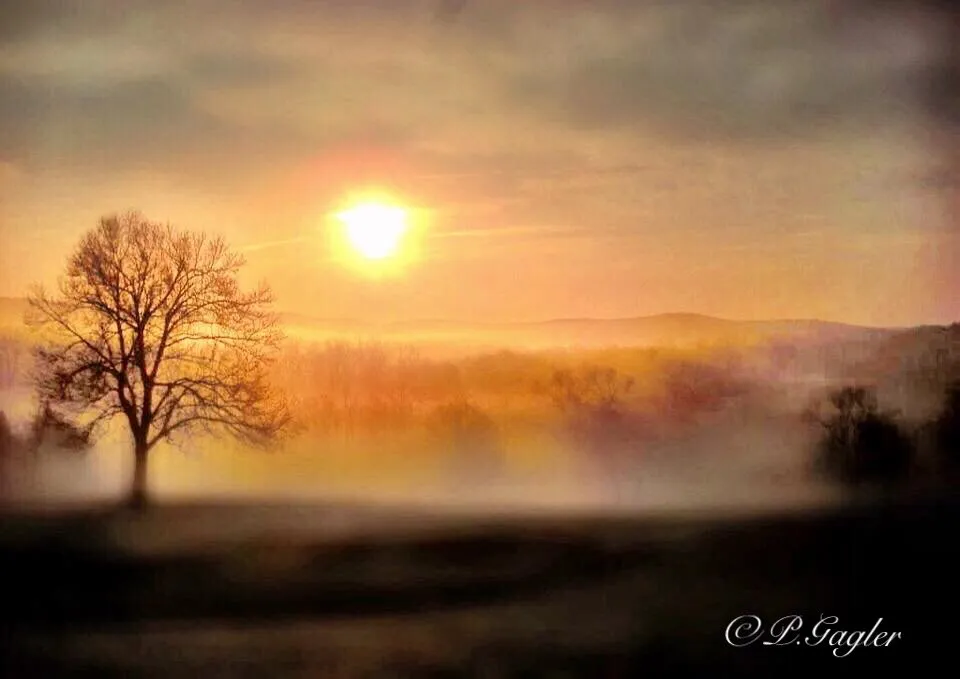 Morning Mist